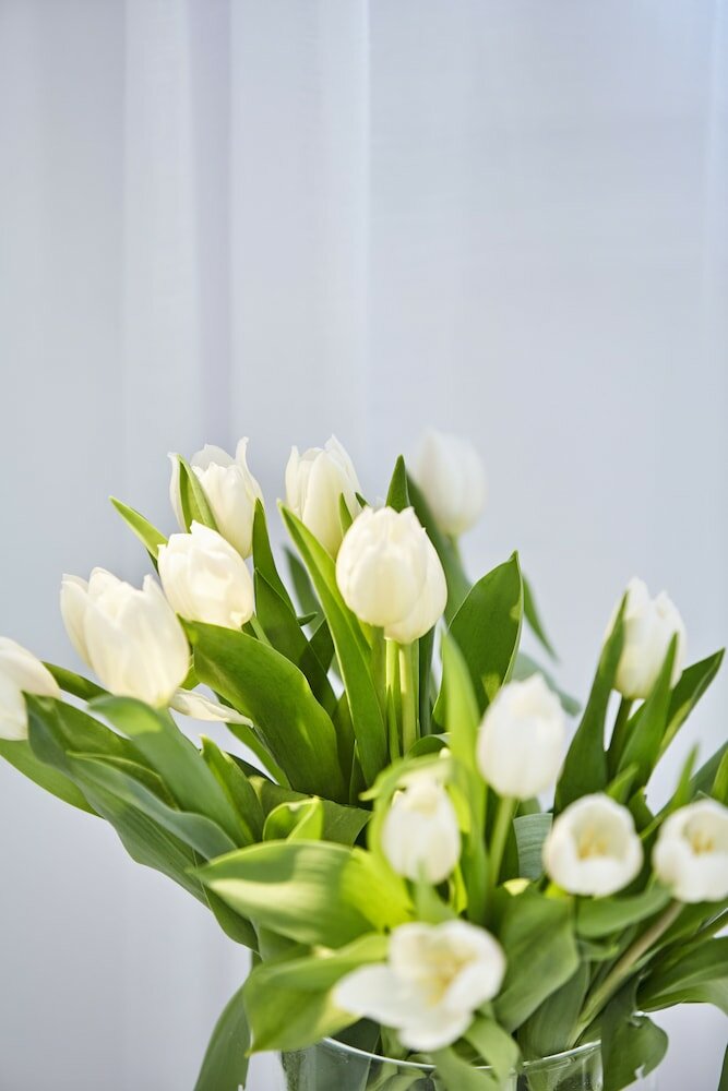 Фото Hippie Chic Hotel