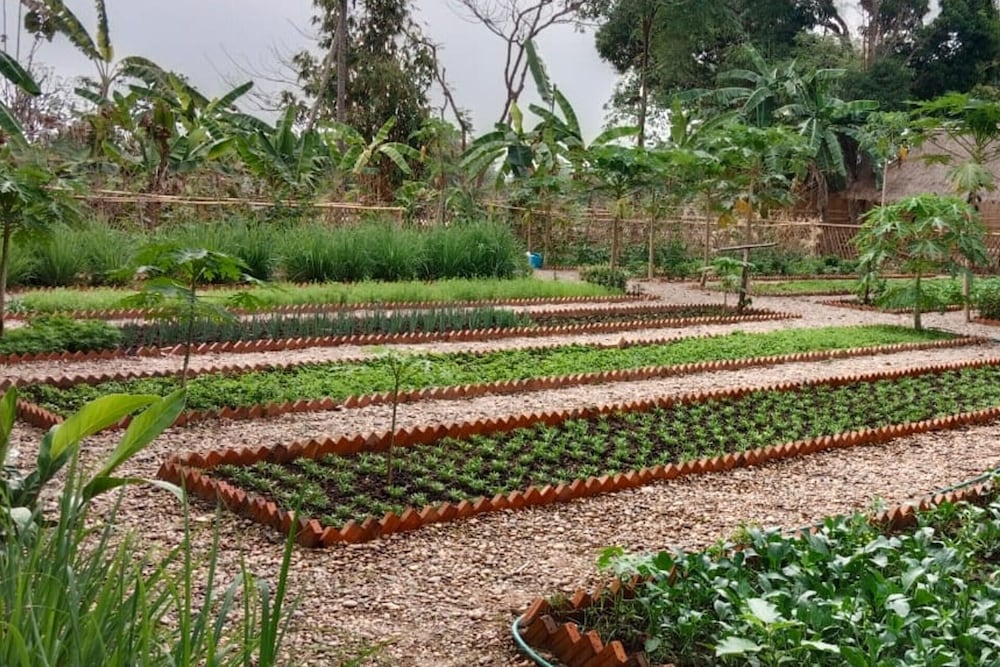 Фото La Folie Lodge