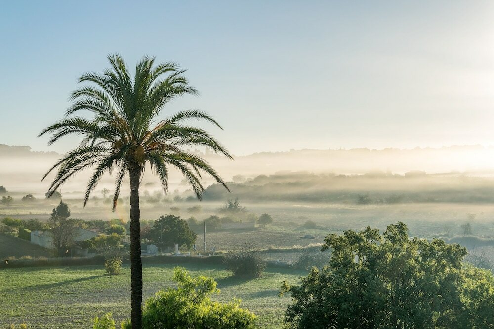 Фото Son Manera Retreat Finca