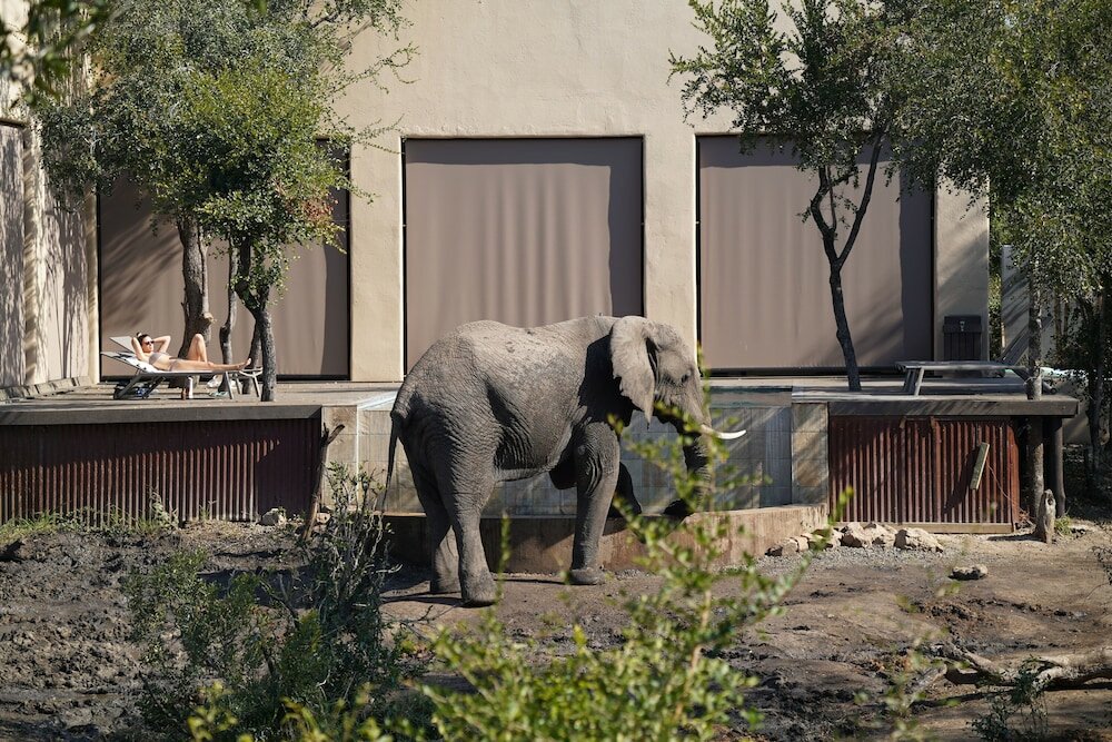 Фото 158997887249