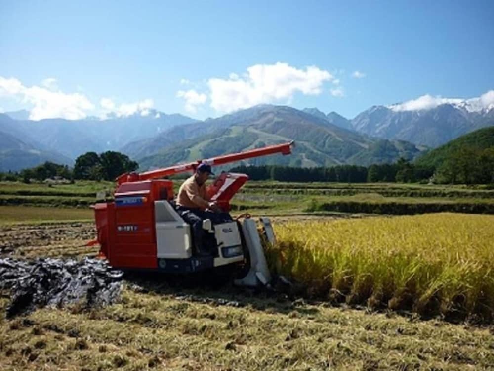 Фото Stayful House Nakamachi