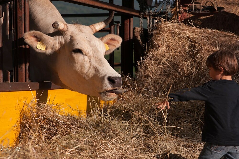 Фото Fattoria Casabianca