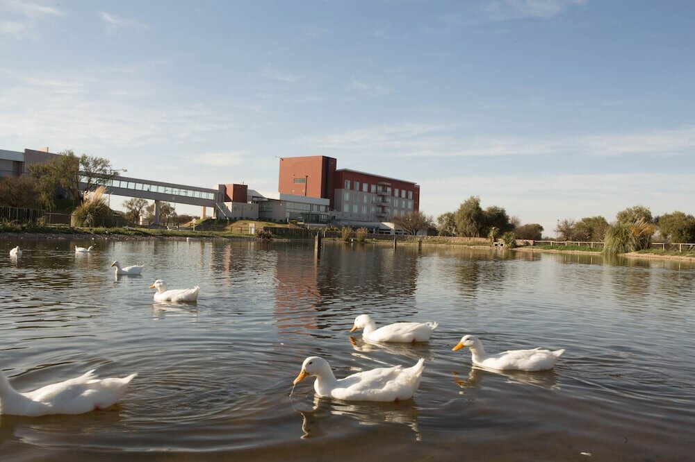 Фото Epic Hotel San Luis