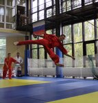 Wushu academia (Borovaya Street, 2), club deportivo, sección