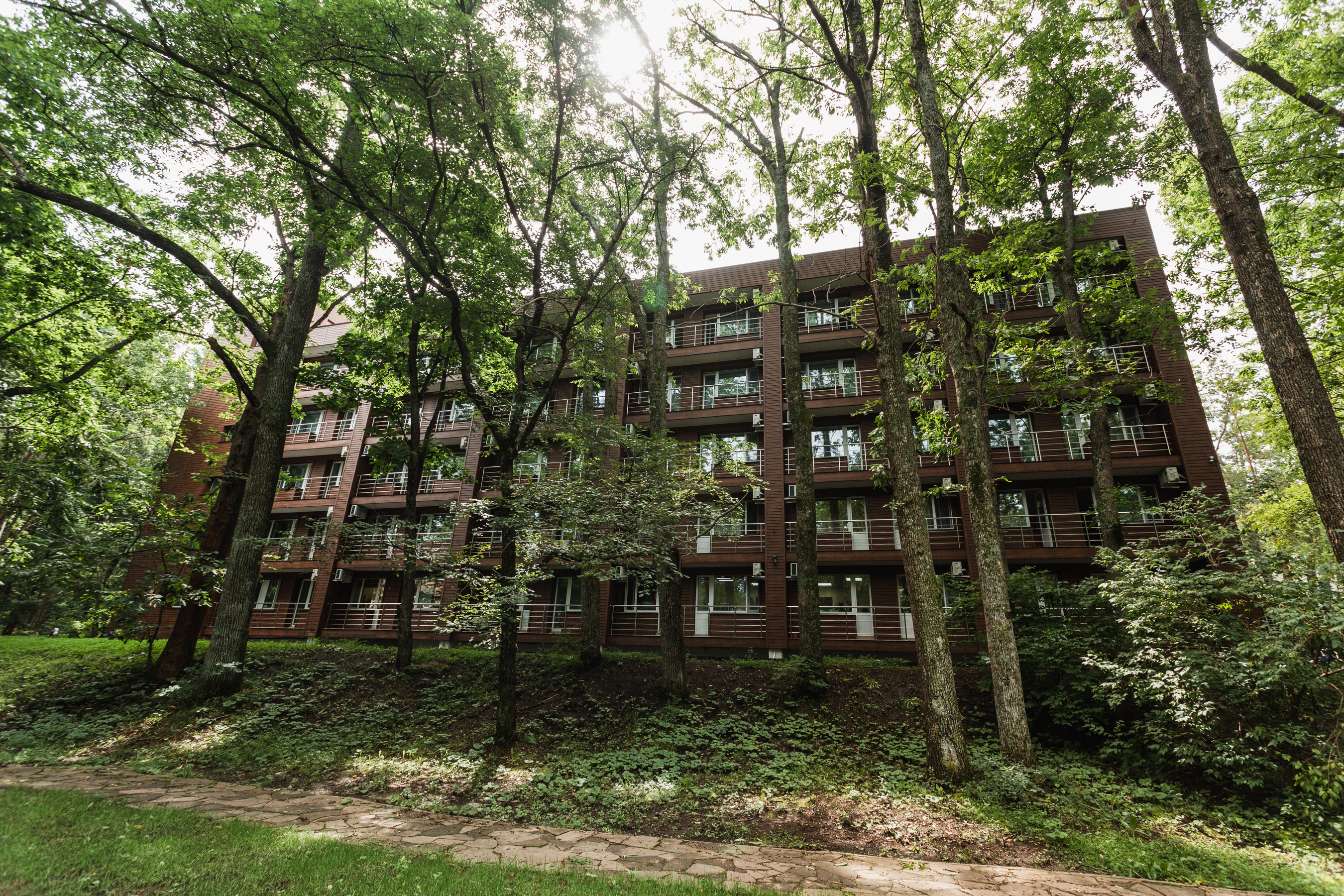 Фото Аврора 