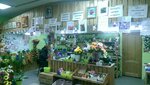 Все в сад (Bogatyrskiy Avenue, 7к8), seed shop