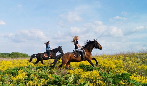 «Махаббатпен порно» Тихомированың «Масленица» фильмі
