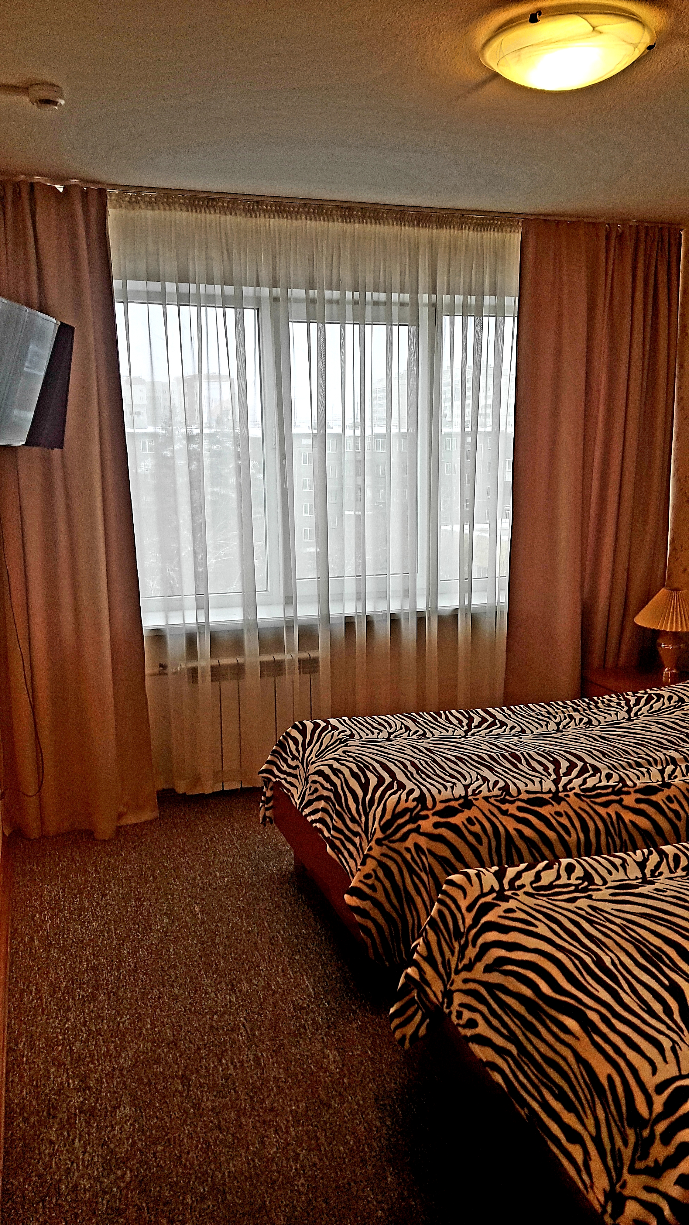 Фото отеля 4