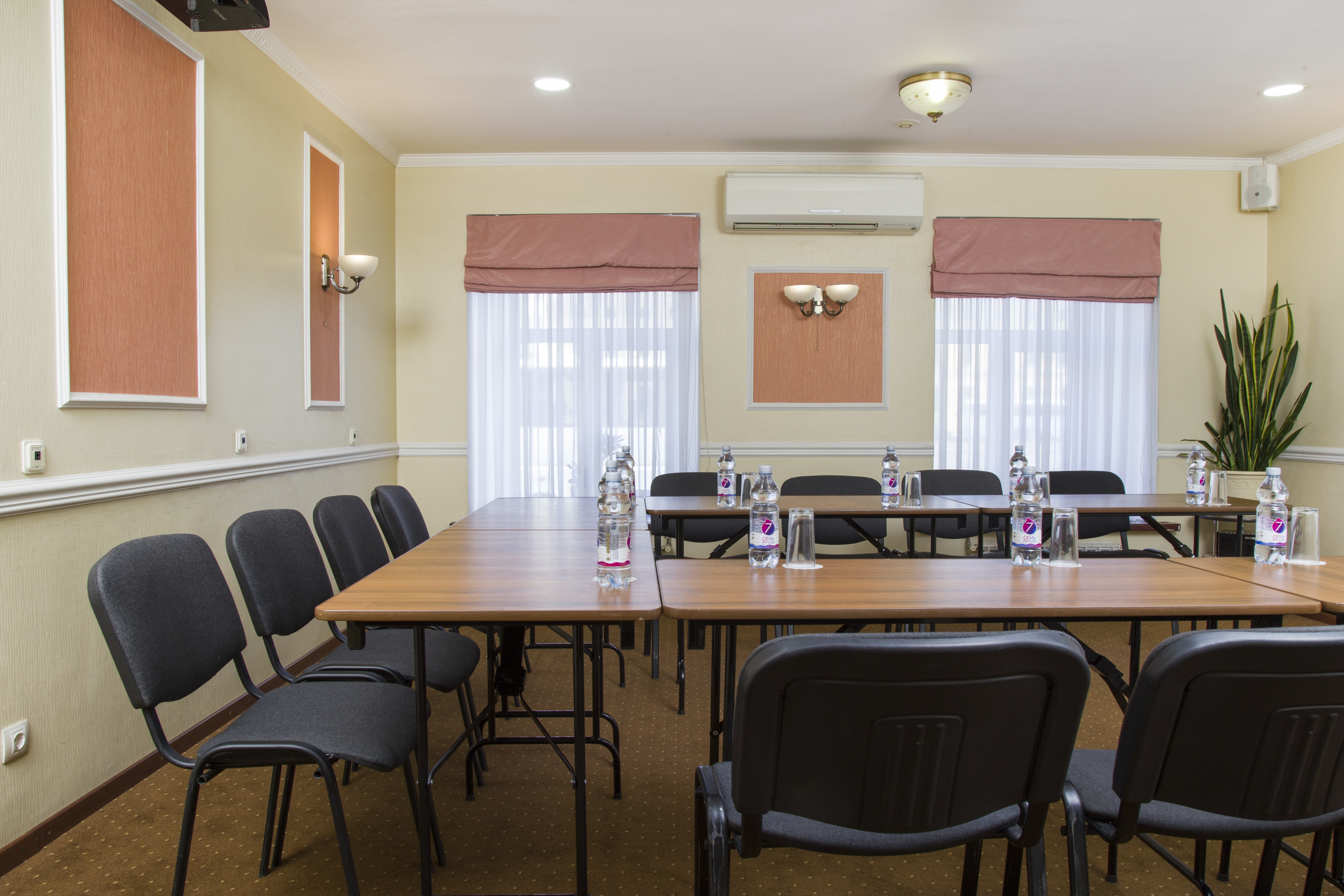 Фото Астерия