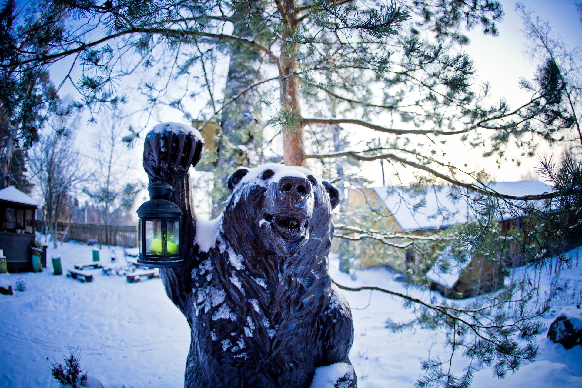 Фото Беличье