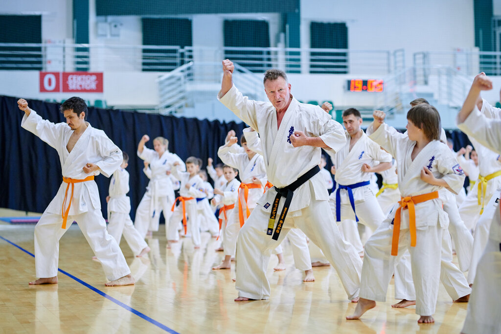 Sports club Karate Kyokushinkai, Moscow, photo