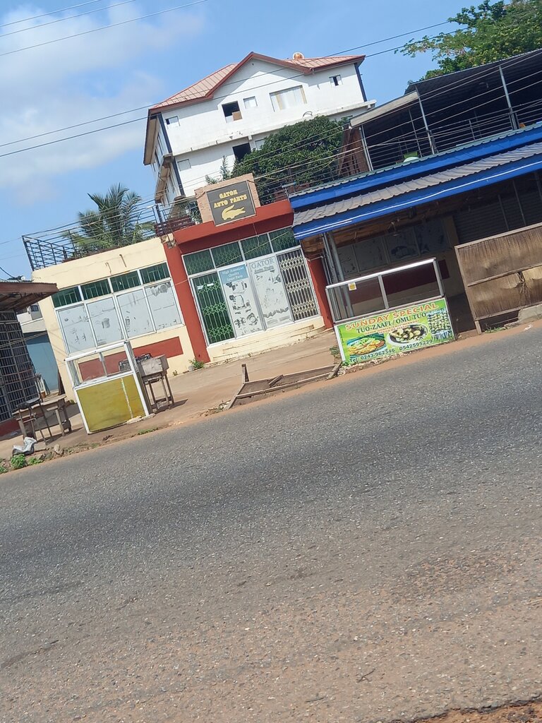 Auto parts and auto goods store Gator, Earth, photo