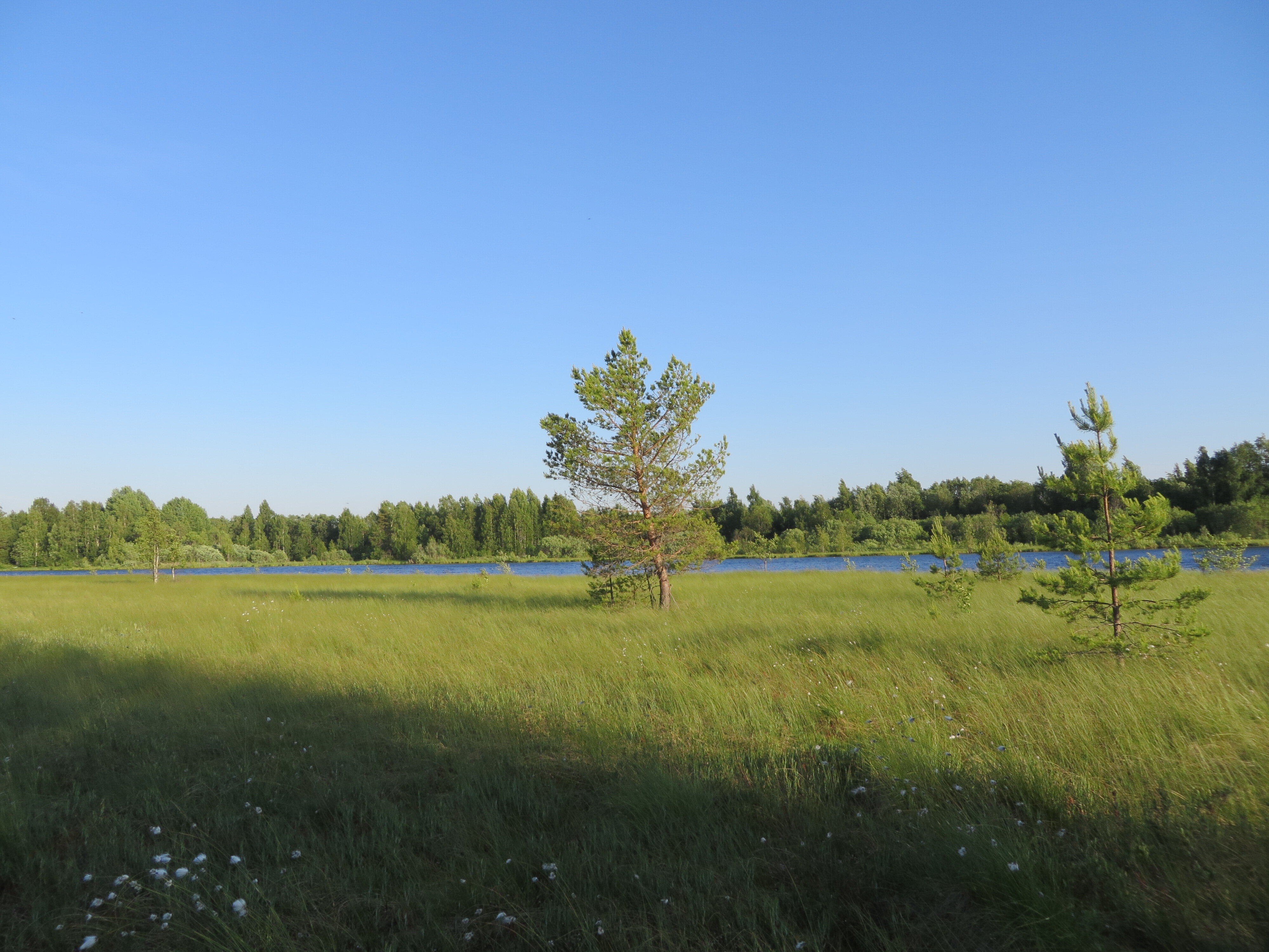 Фото Дальние дачи