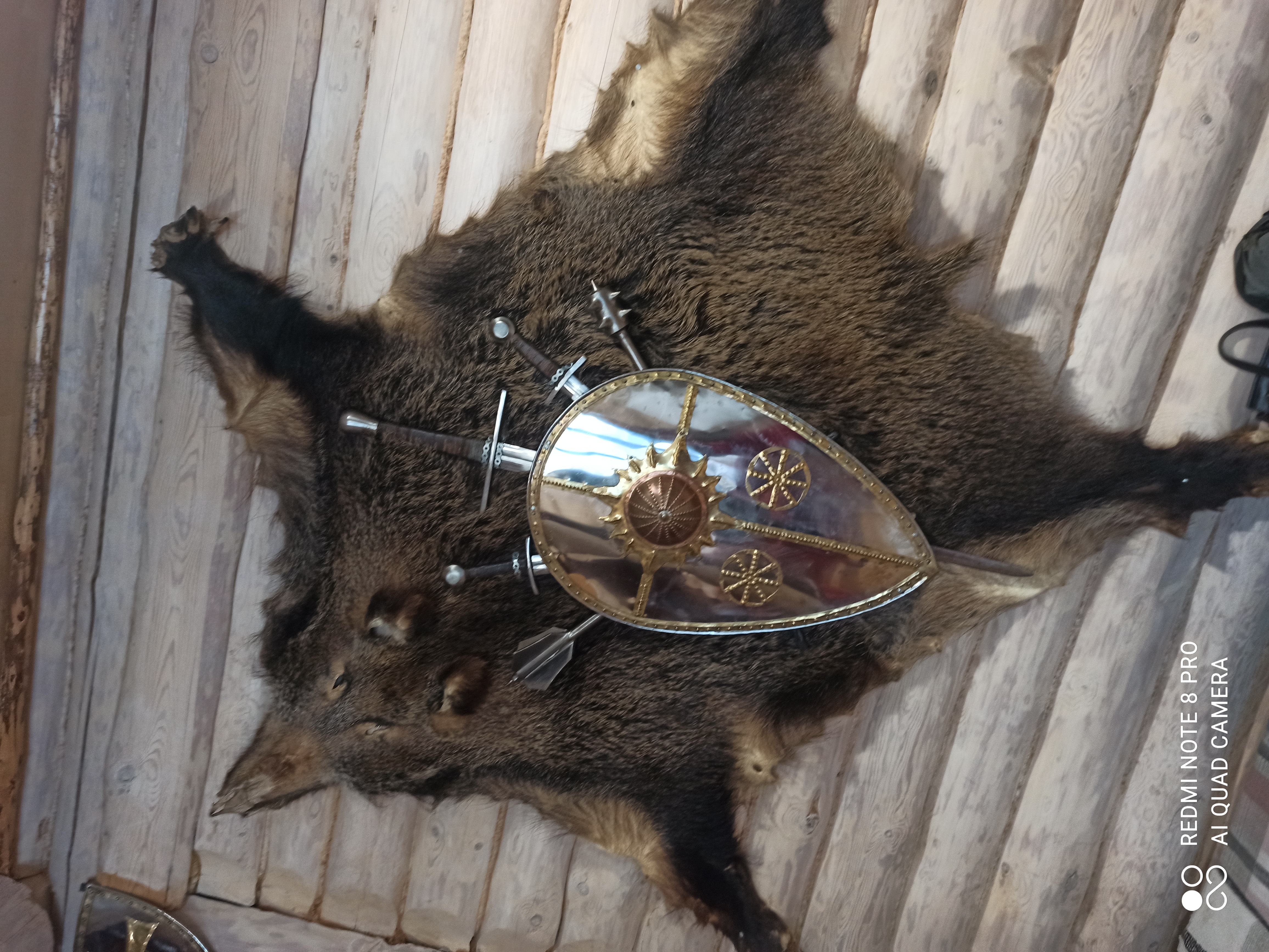 Фото Варяжская дружина