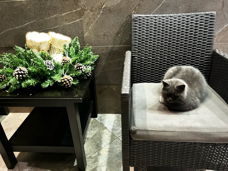 Фото Графит