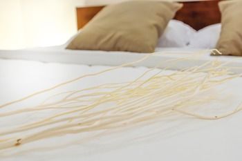 Фото Tulip House Pool Villa Hua Hin