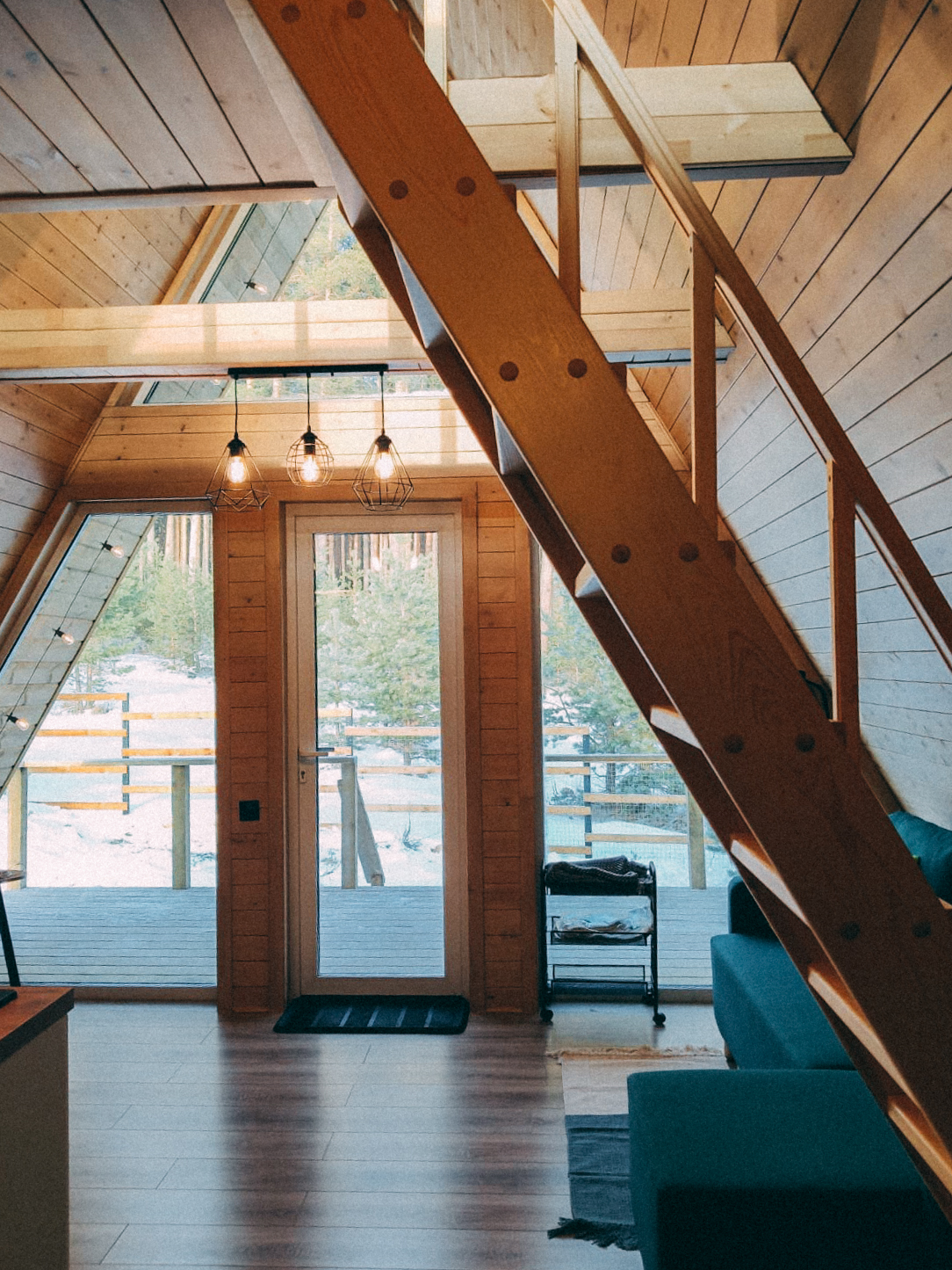 Фото Ёлки Кэмп