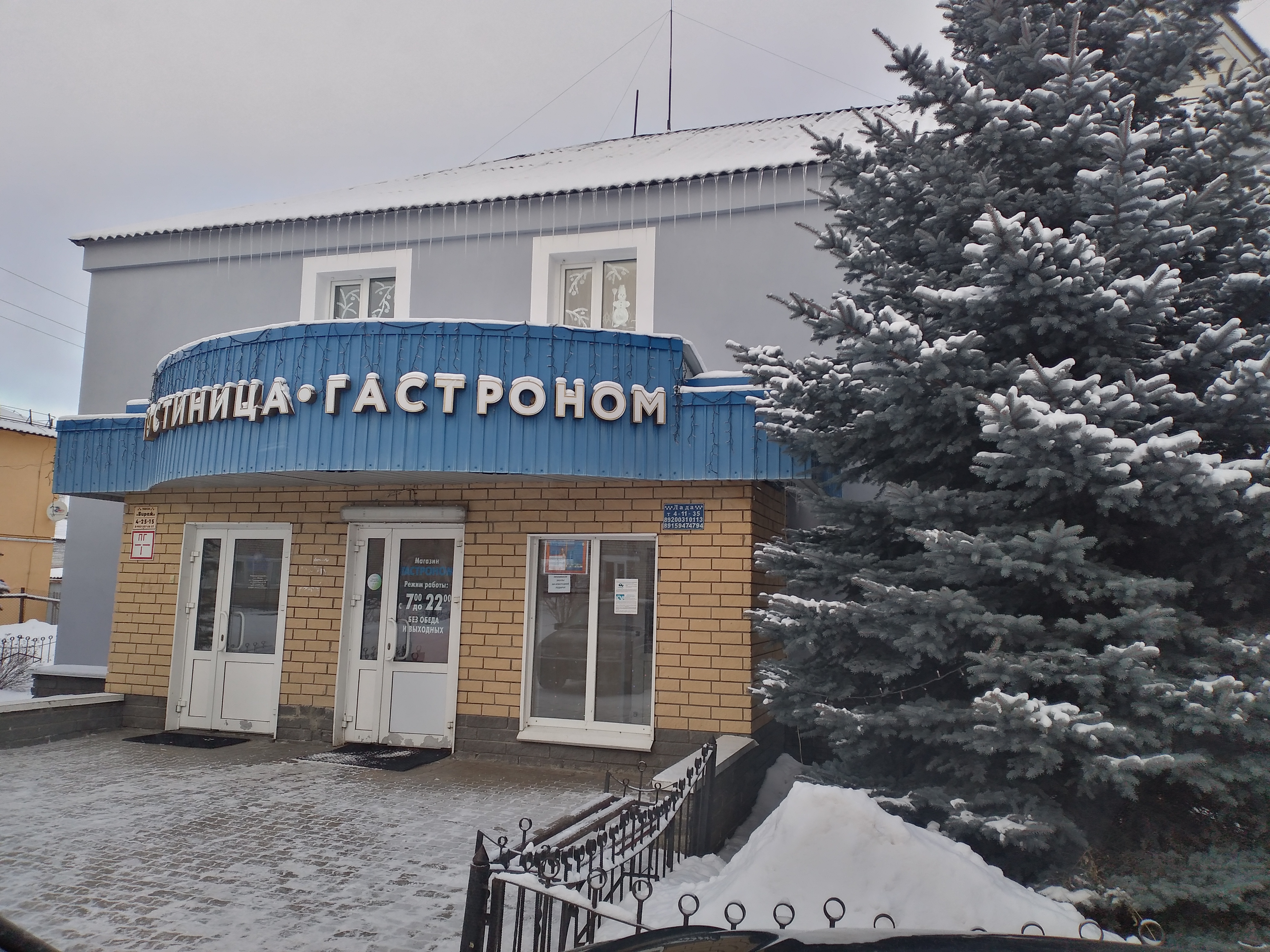 Фото Шатковская