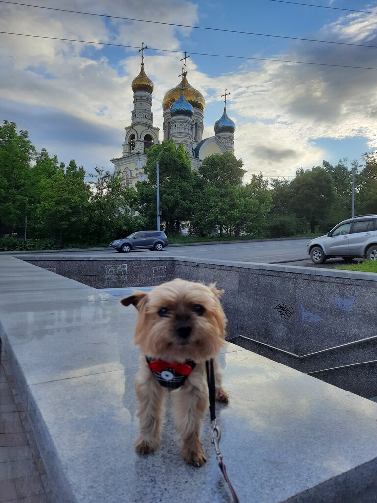 Православный храм Покровский кафедральный собор города Владивостока, Владивосток, фото