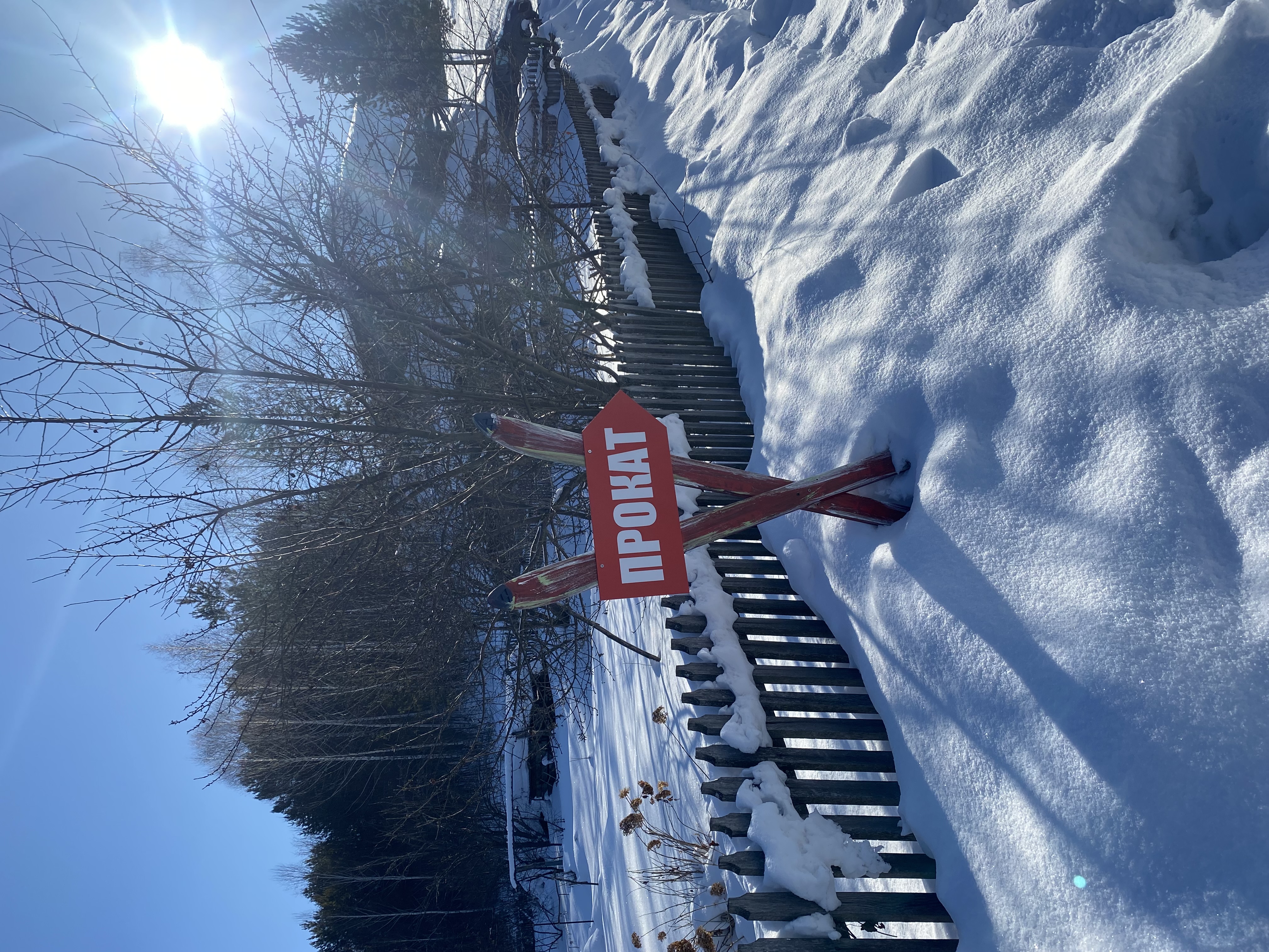 Фото Яковка