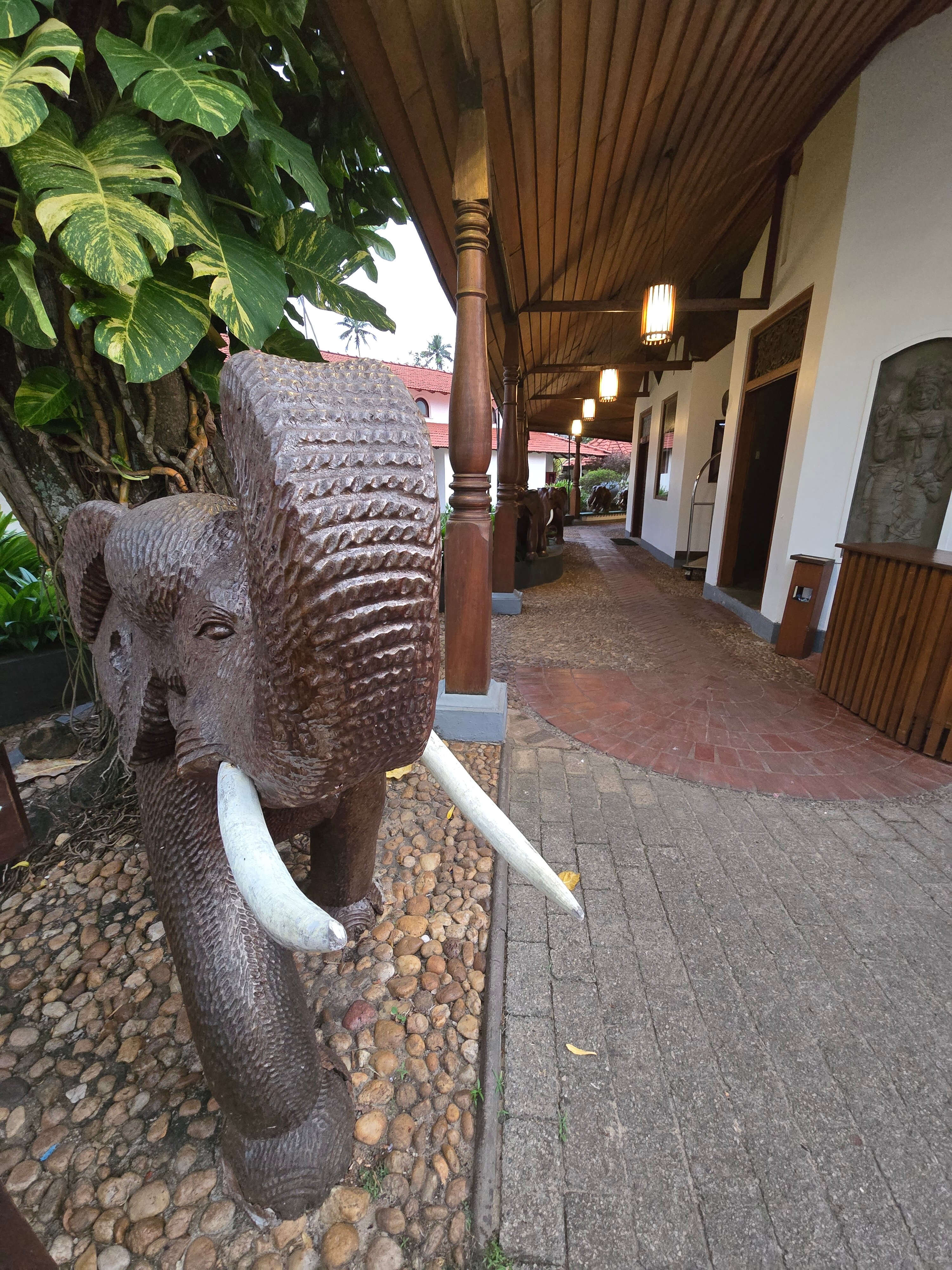 Фото Dickwella Resort and SPA