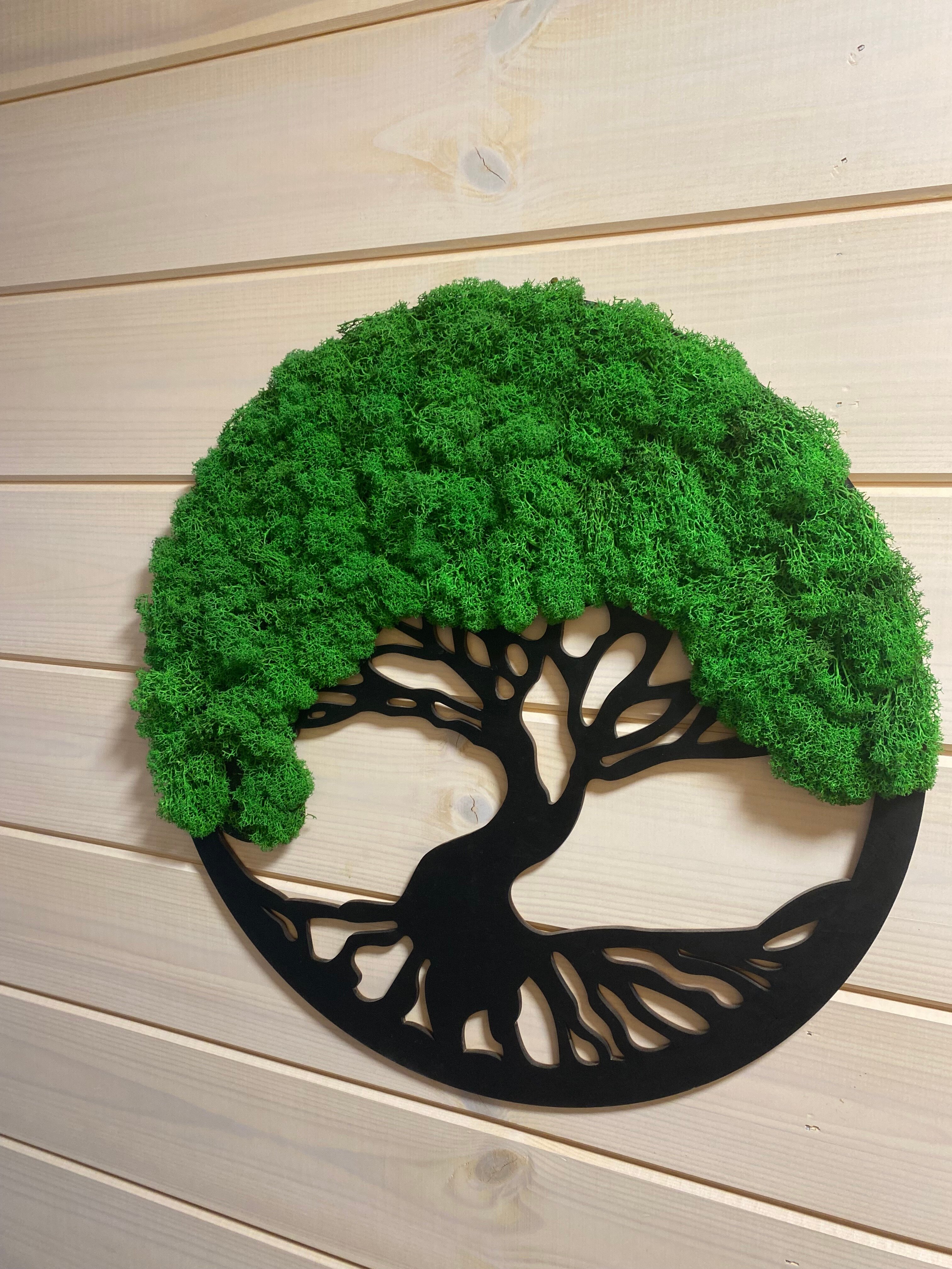 Фото Две Хижины