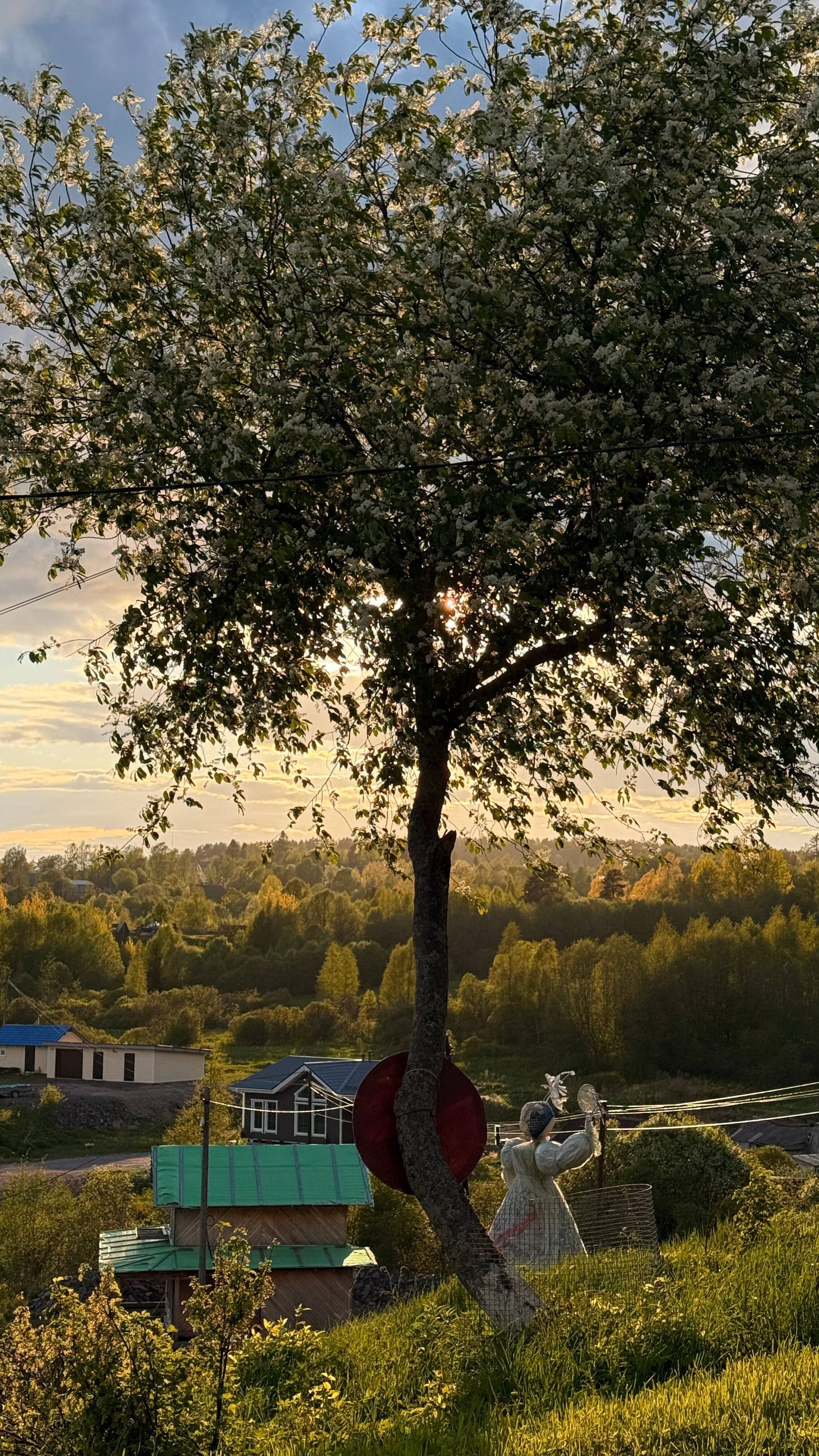 Фото Башни Андра