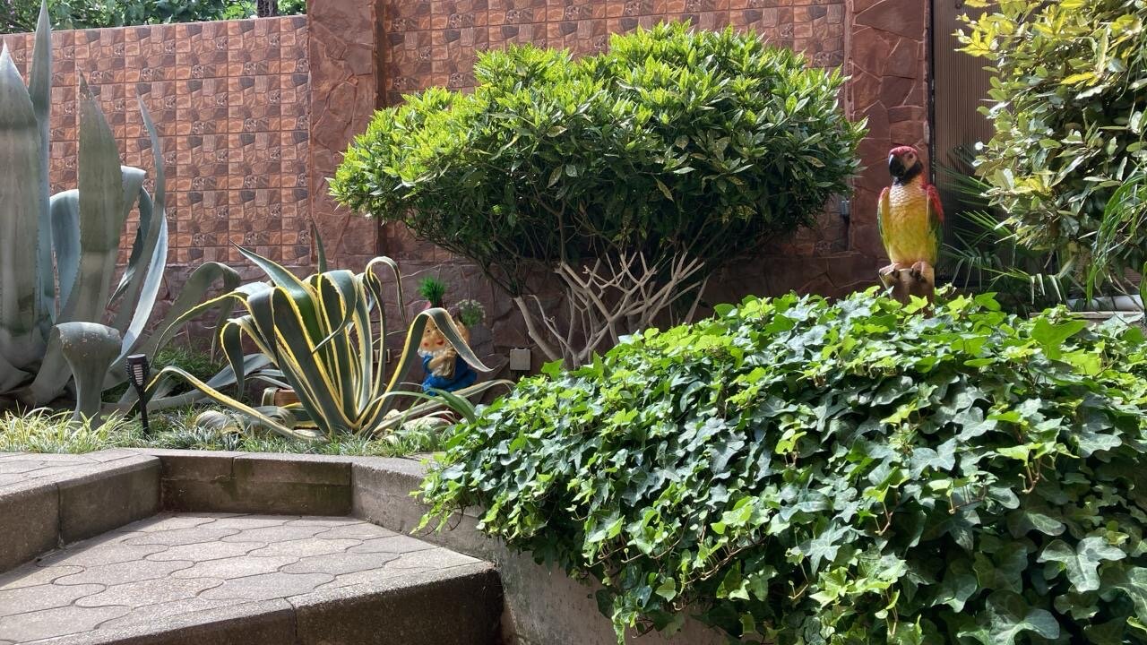 Фото Бамбуковый рай