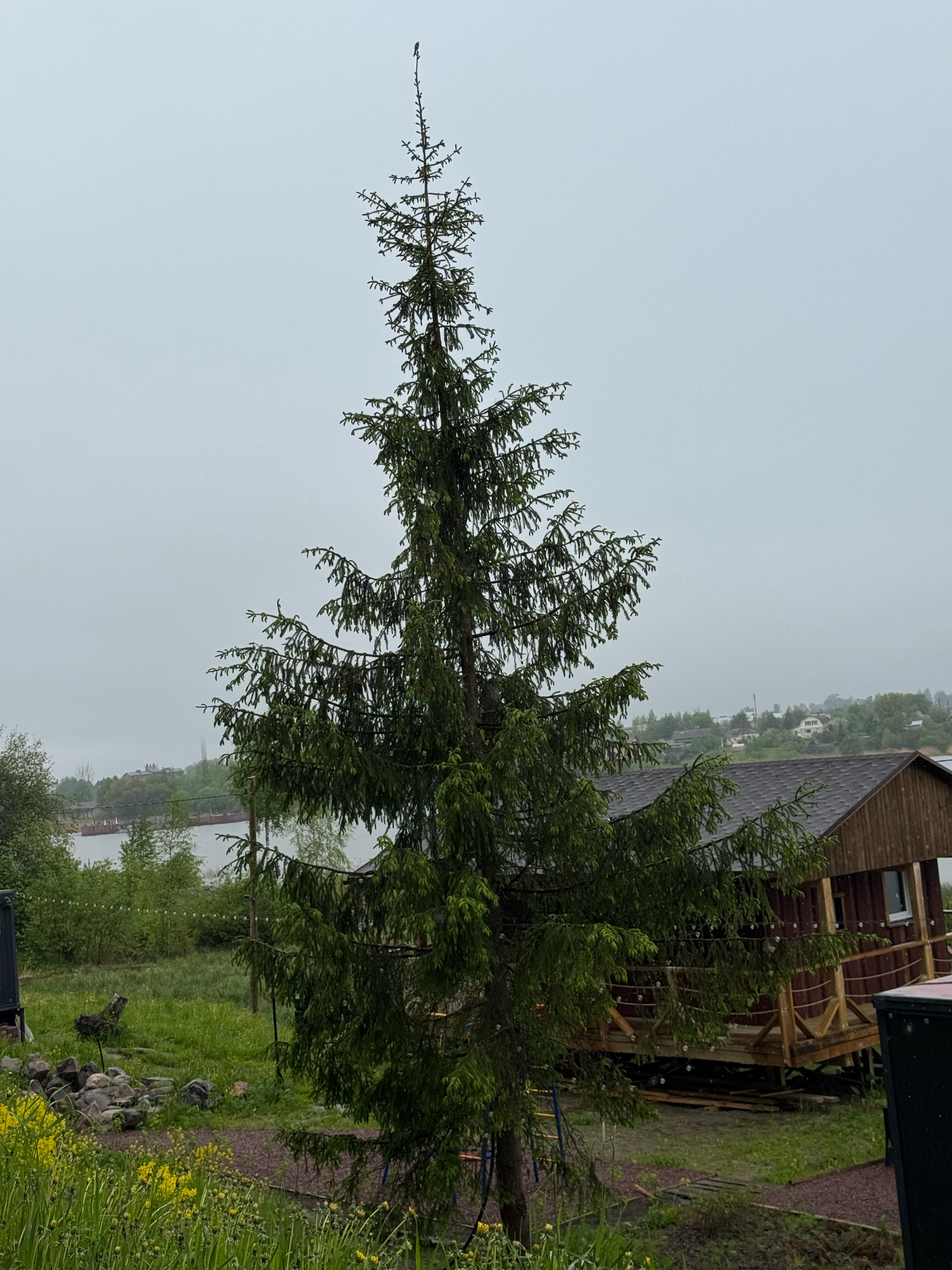 Фото Остров