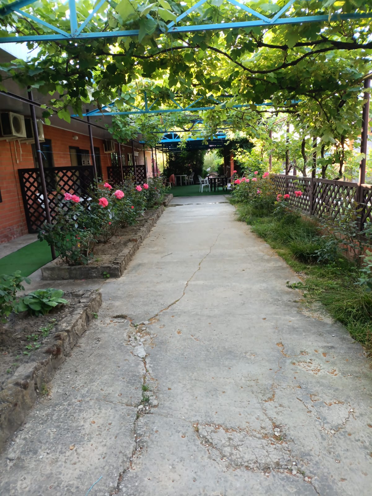 Фото Чудная Долина