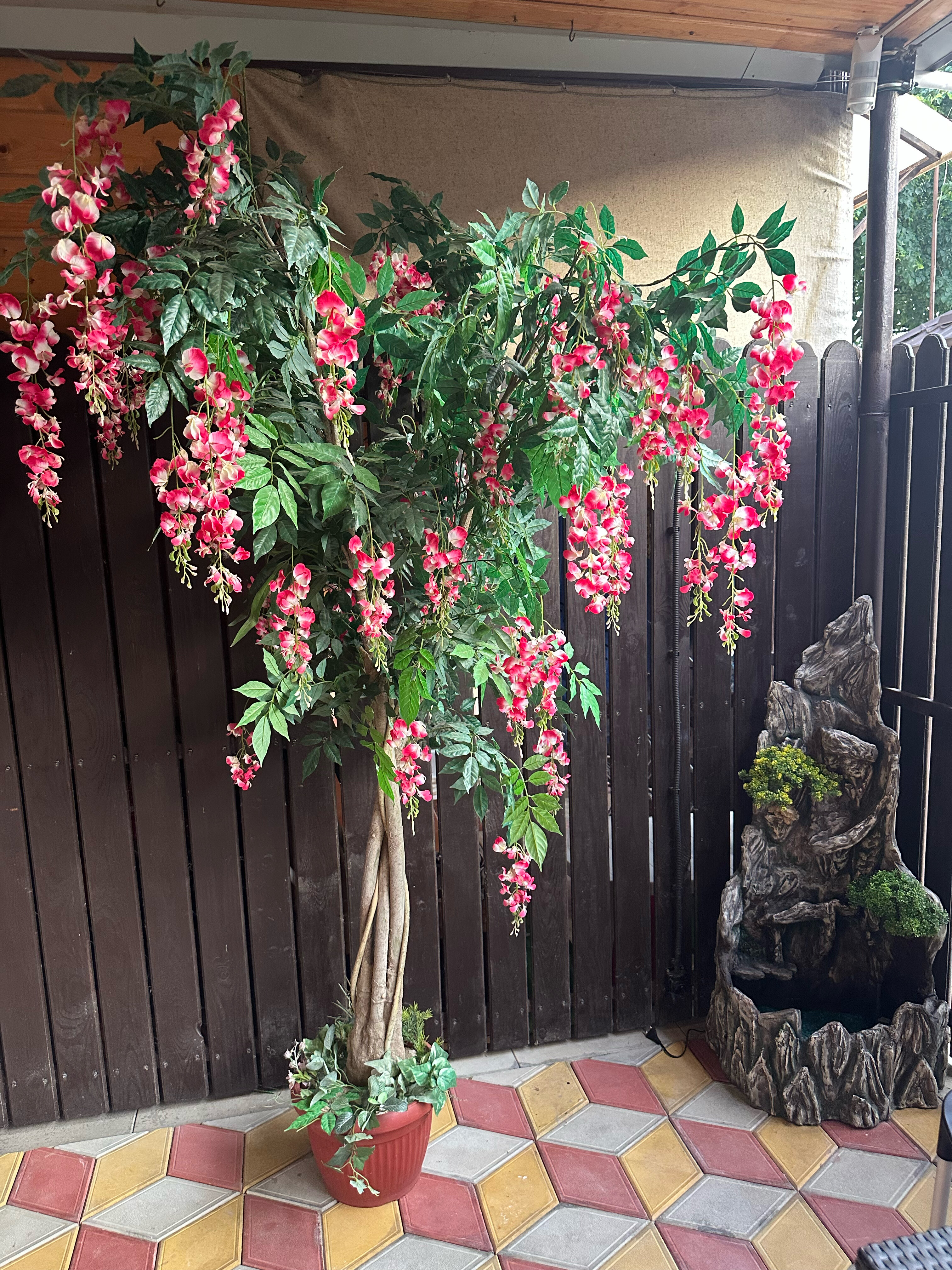 Фото Форест