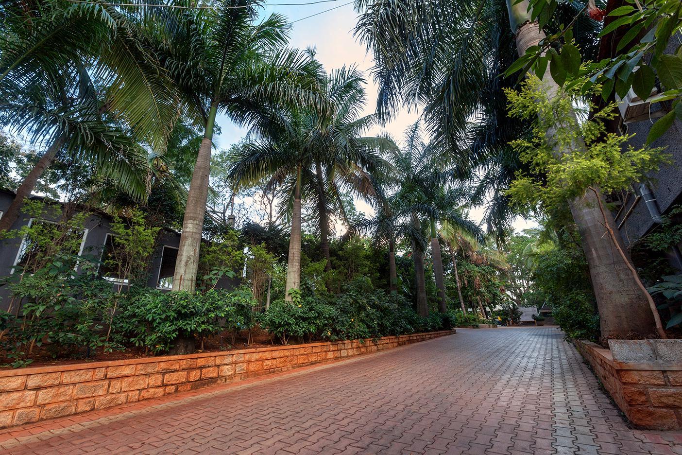 Фото Holiday Village