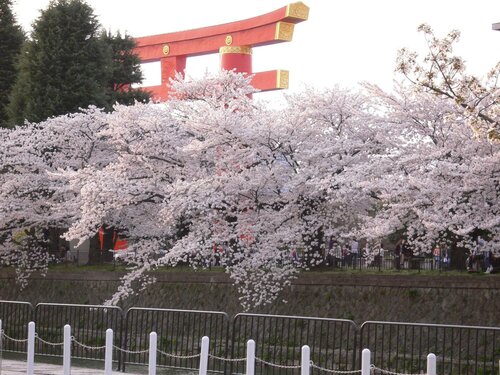 Гостиница Kyoto Travelers Inn в Киото