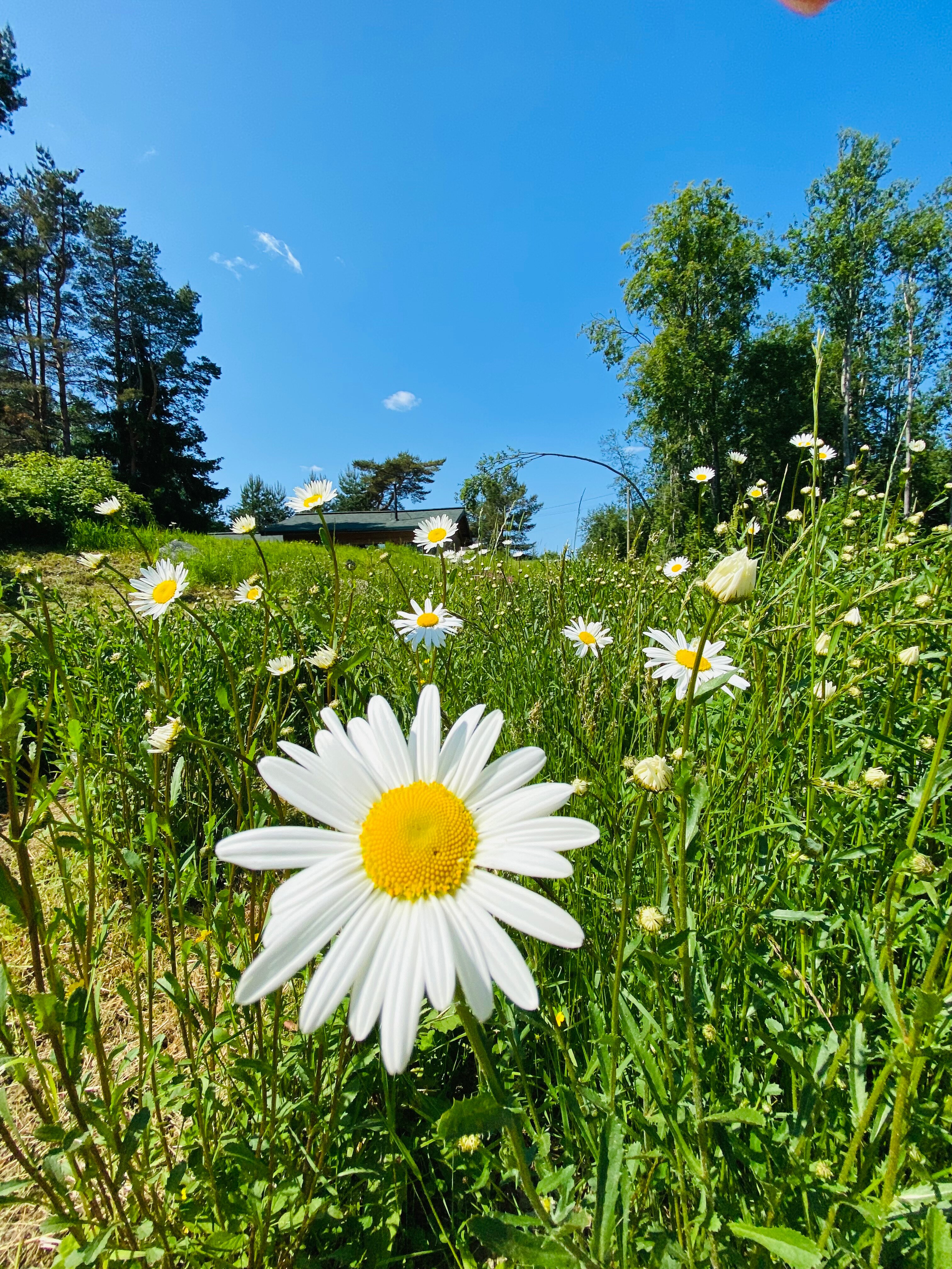 Фото Belka Village