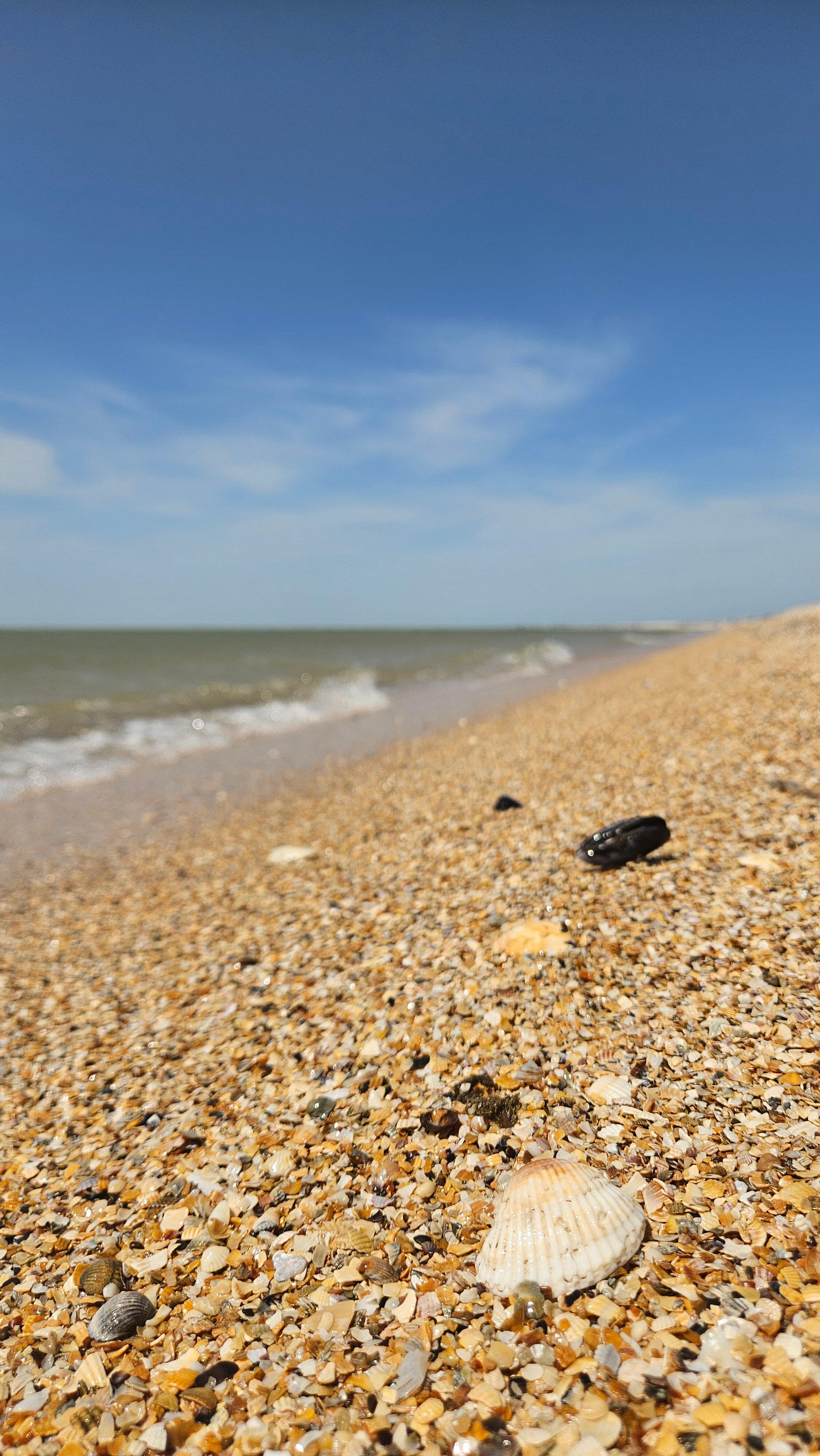 Фото Азовский