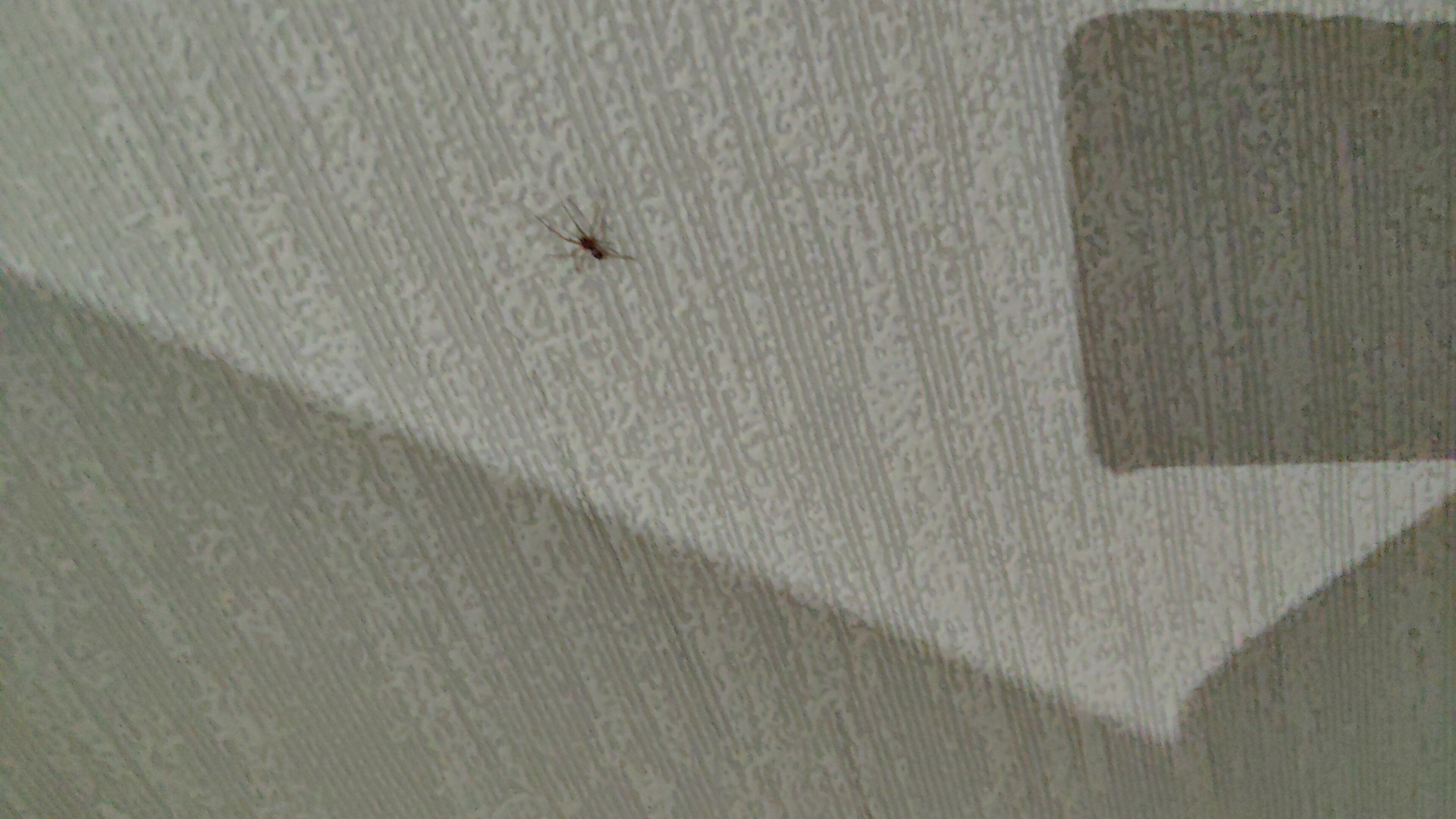 Фото Светлана