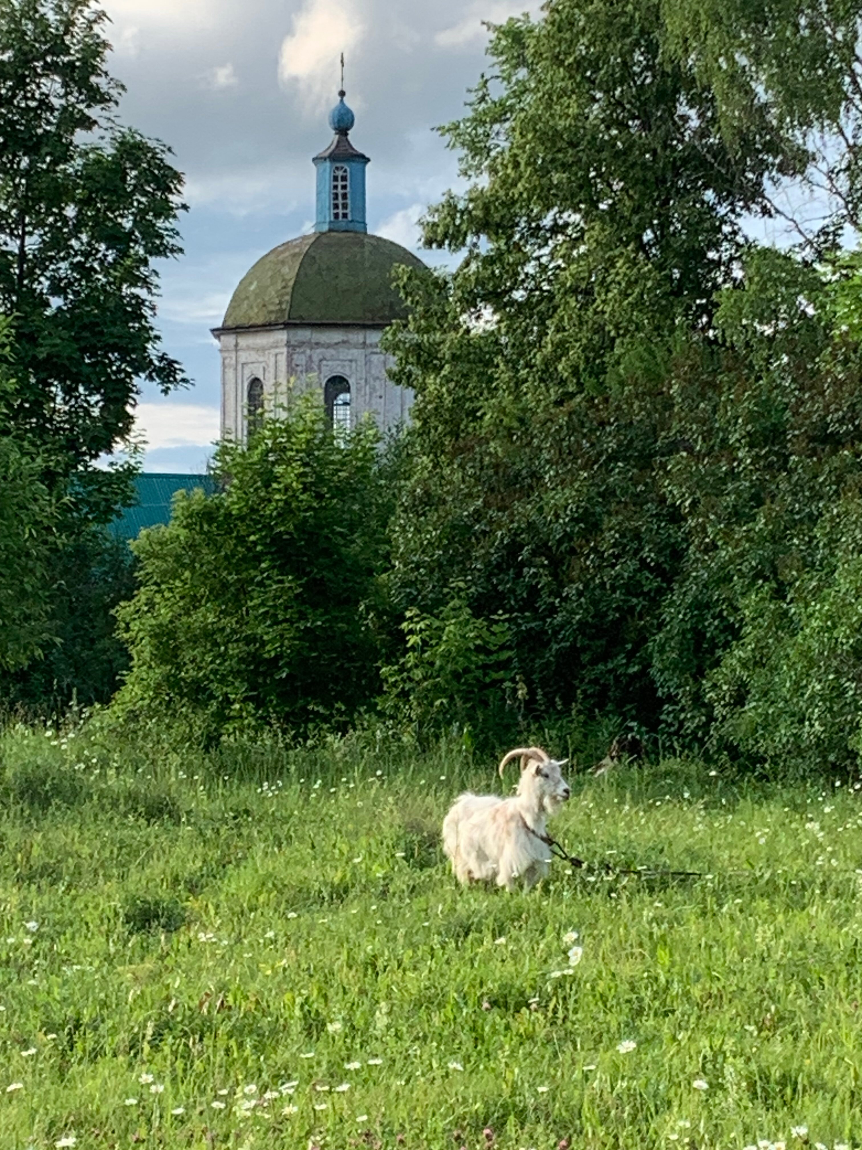 Фото Старый Мултан