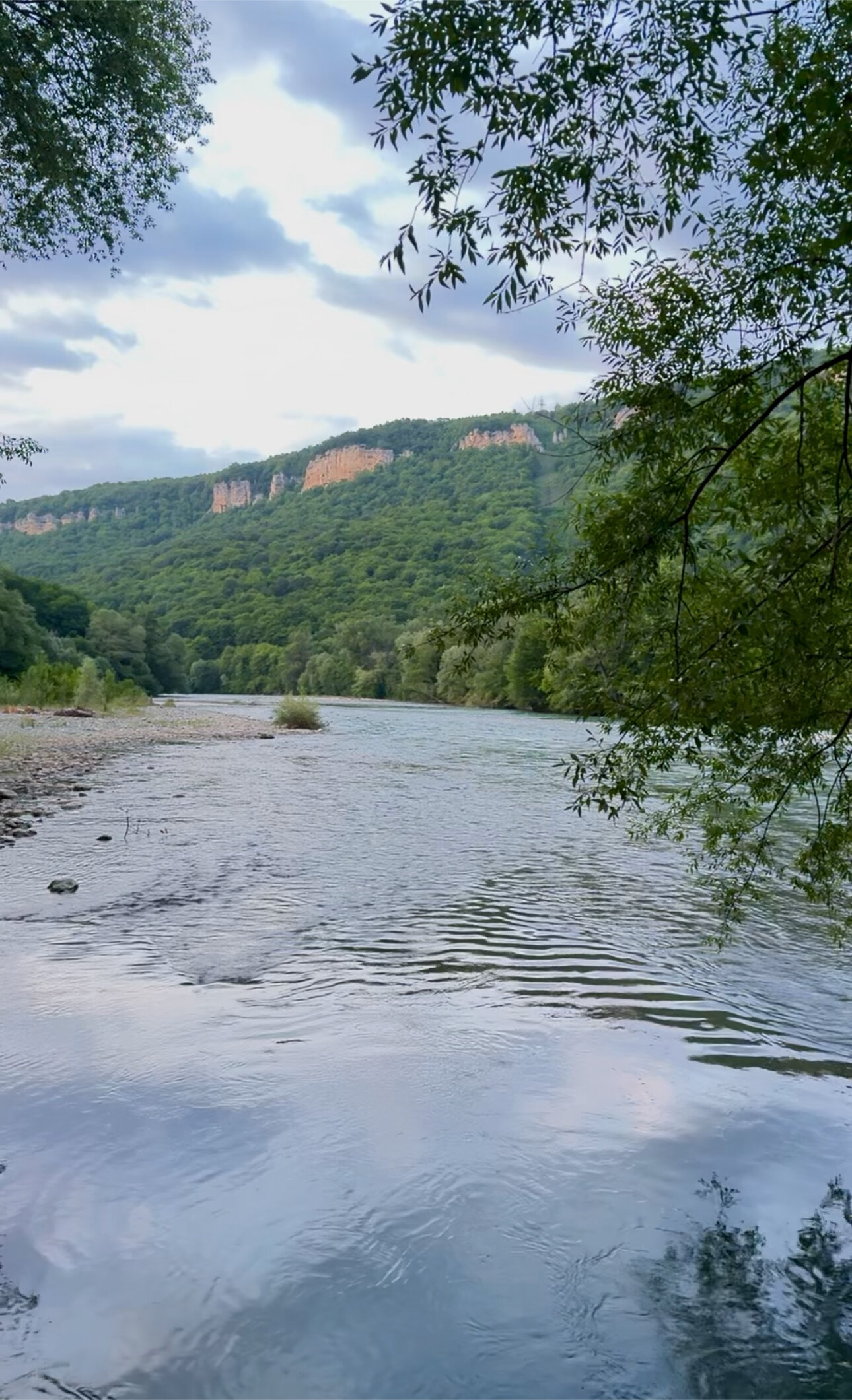 Фото Кактус Арт