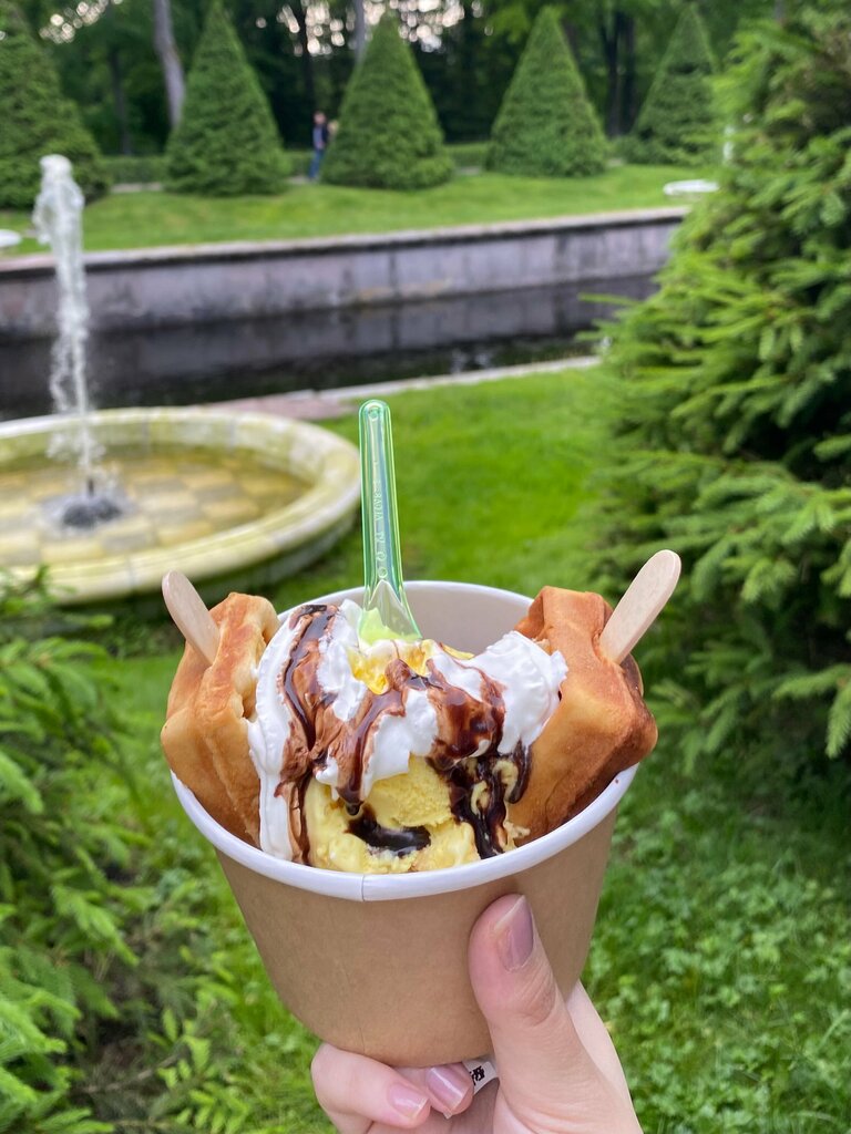 Fast food Fast food, Peterhof, photo