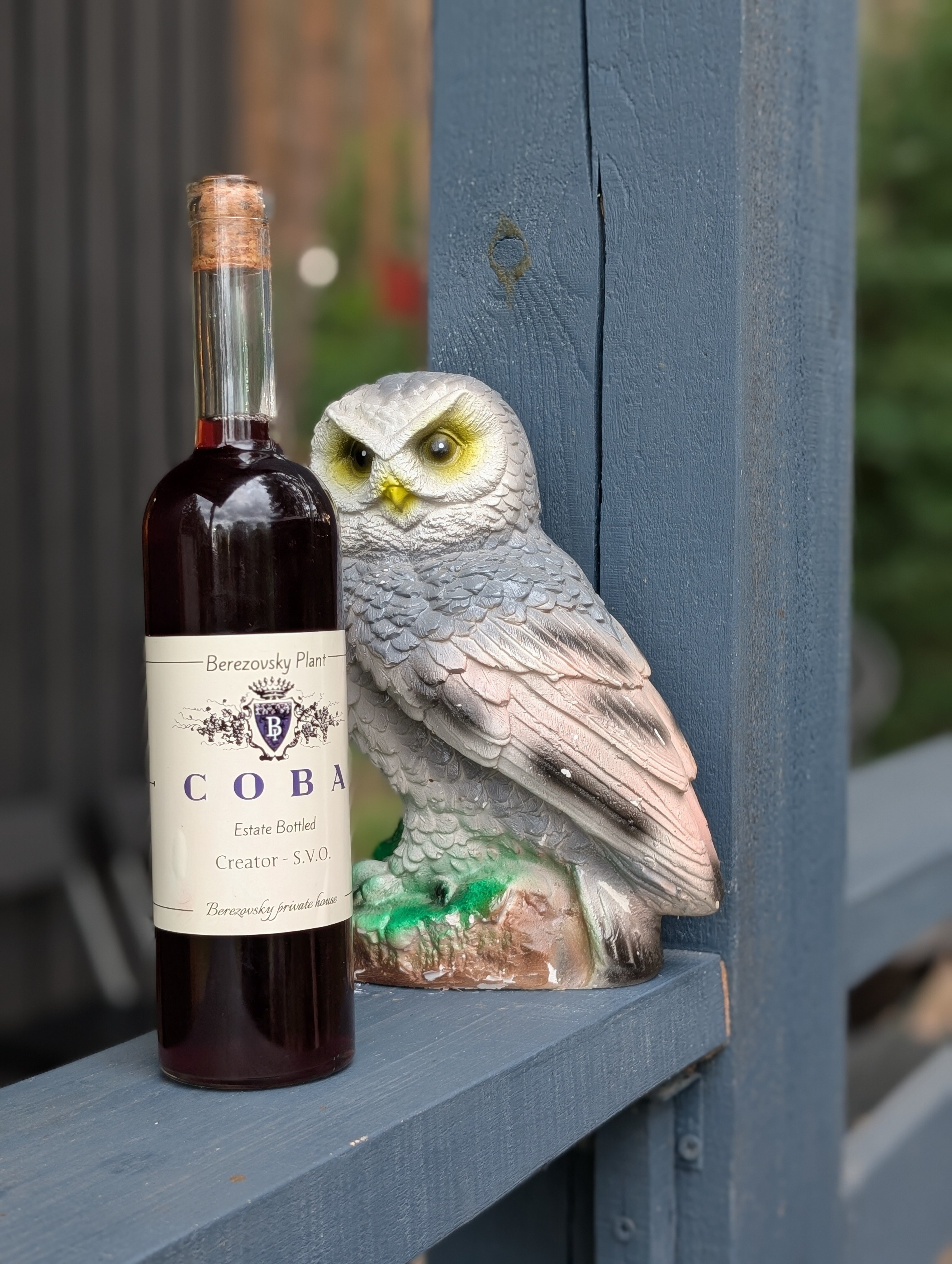 Фото Сова Эко дом с чаном