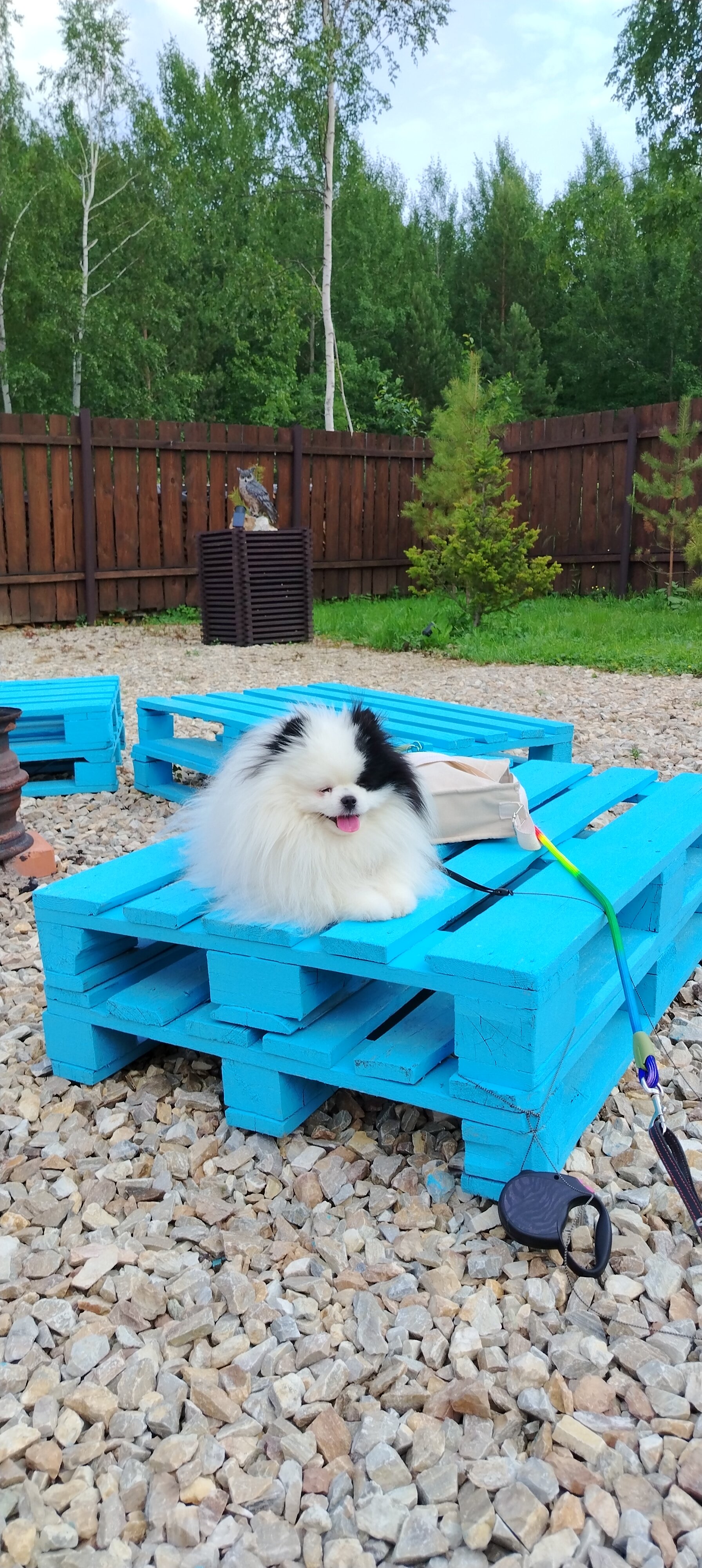 Фото Четыре стихии