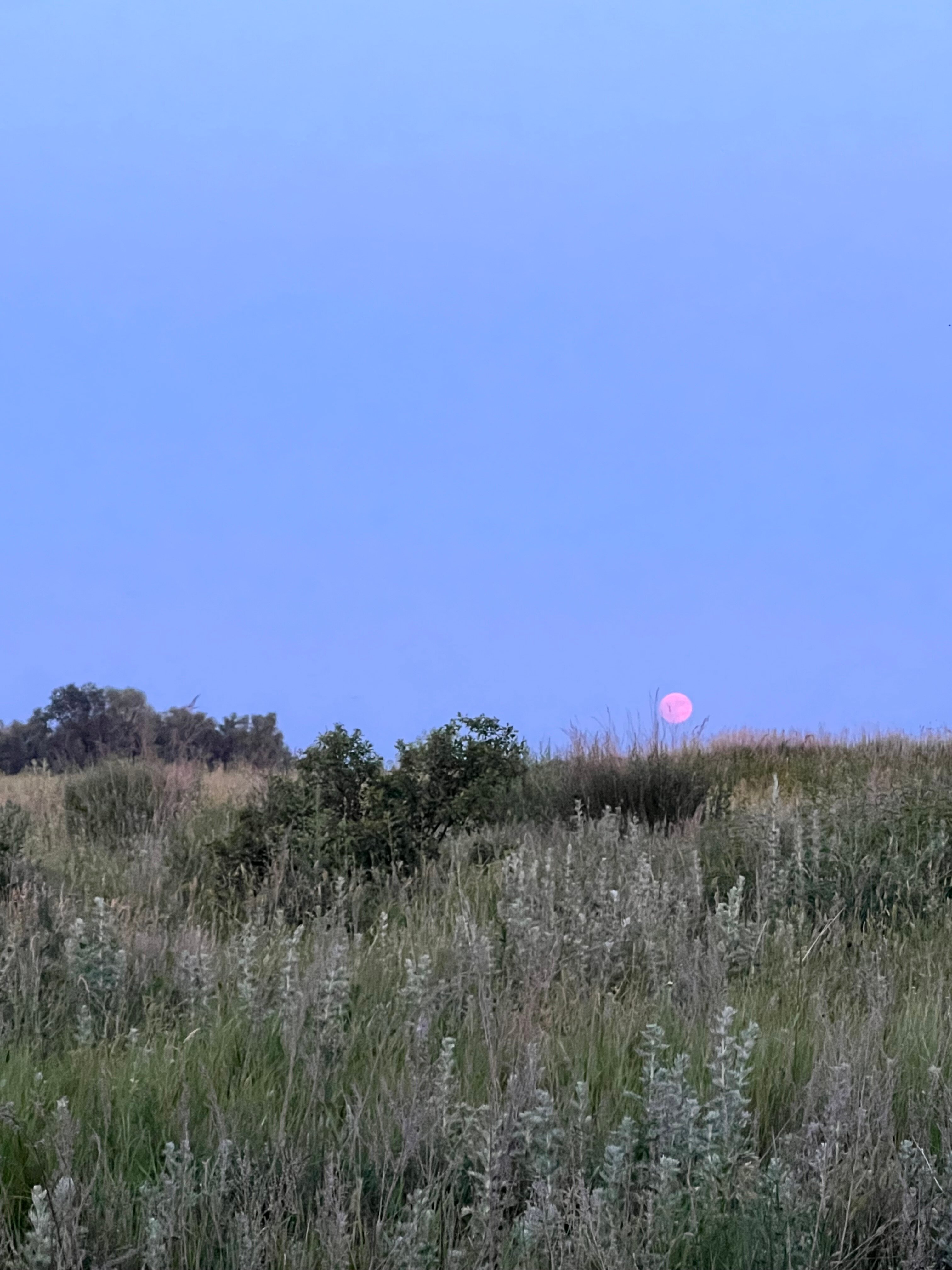 Фото Сухое Озеро