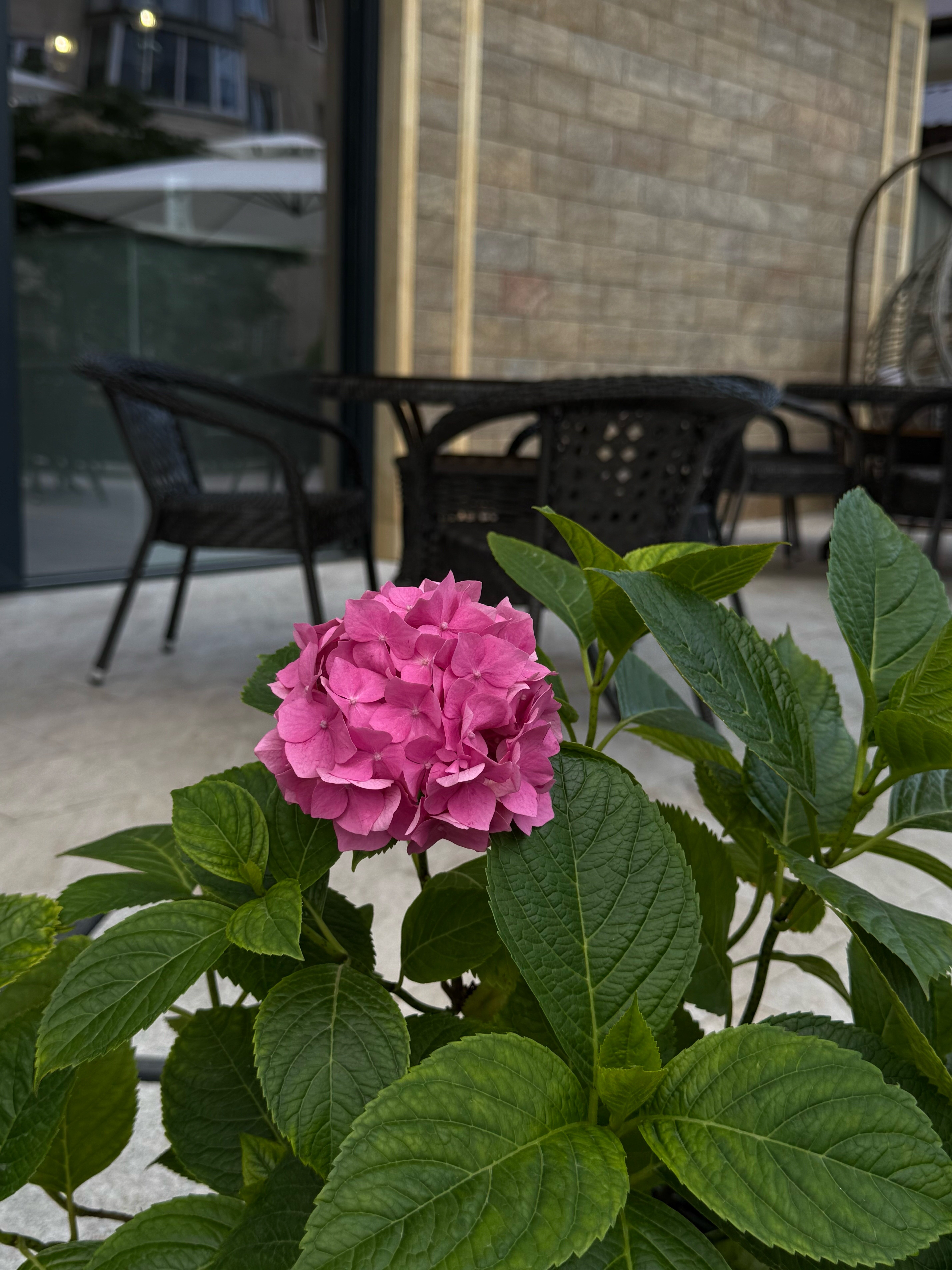 Фото Софитель