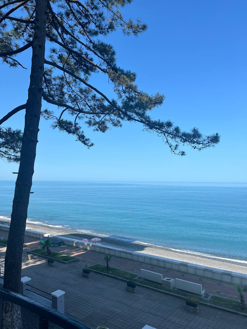 Фото Hotel Medusa