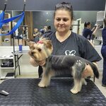 Алис (Melik-Karamova Street, 45/1), pet salon