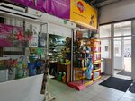 EdZoo (ulitsa 30 let Pobedy, 53к3) ، متجر للحيوانات الأليفة