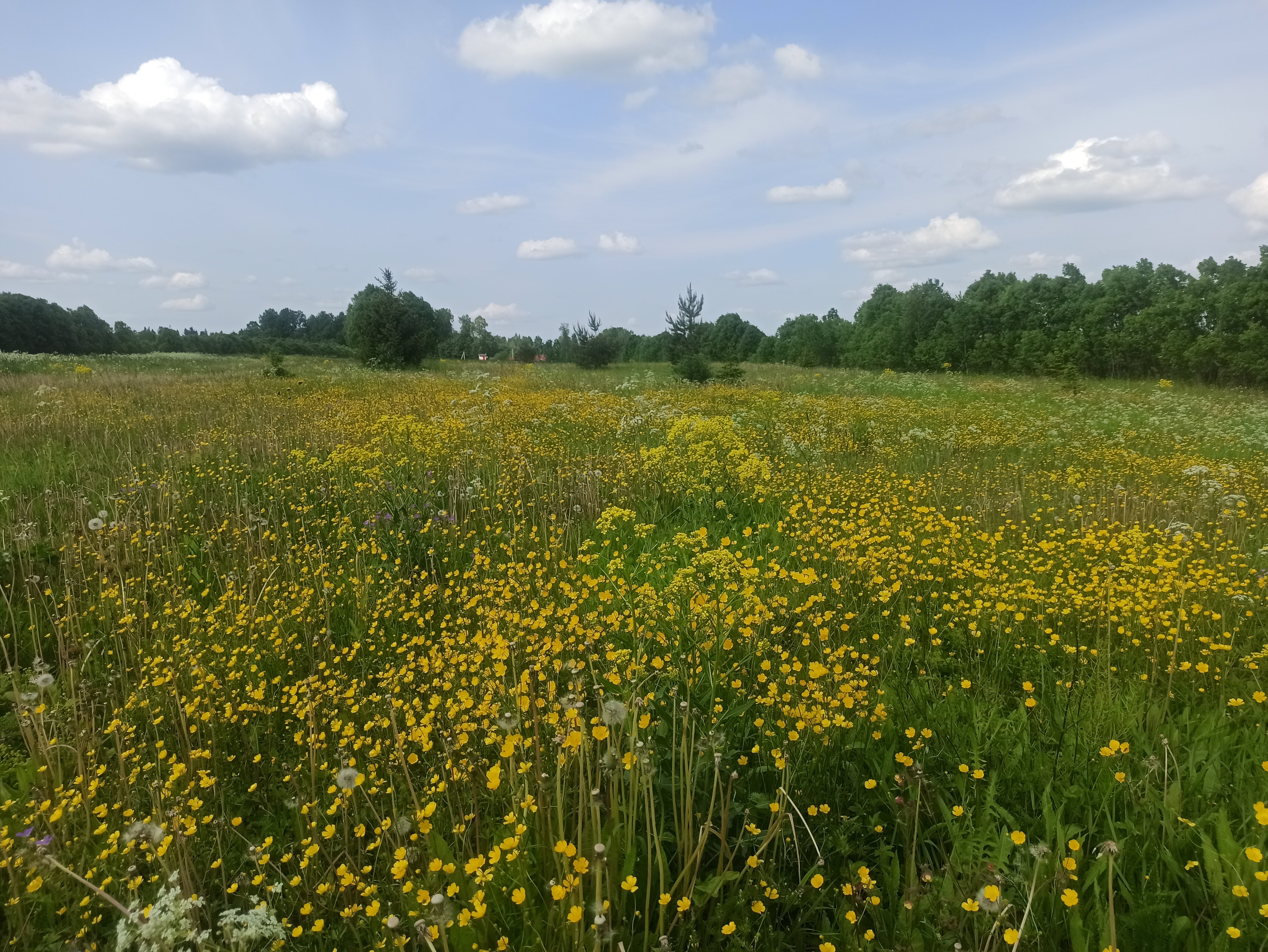 Фото Экоусадьба Зеленые Холмы