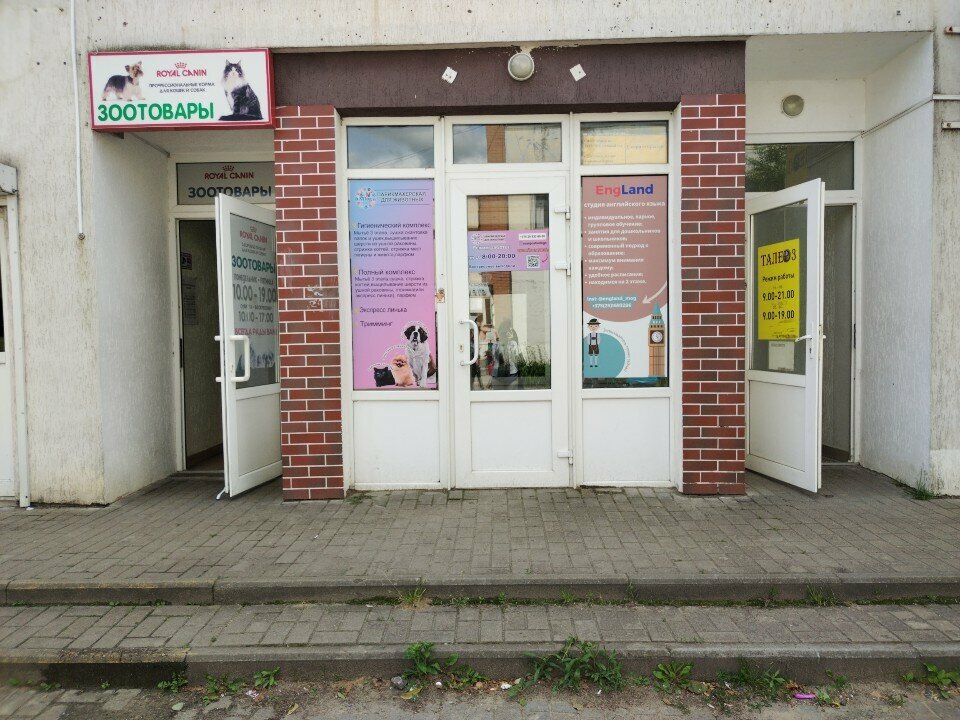 Pet salon MDog, Mogilev, photo