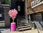 AImpatis (Maksima Gorkogo Street, 151), it company