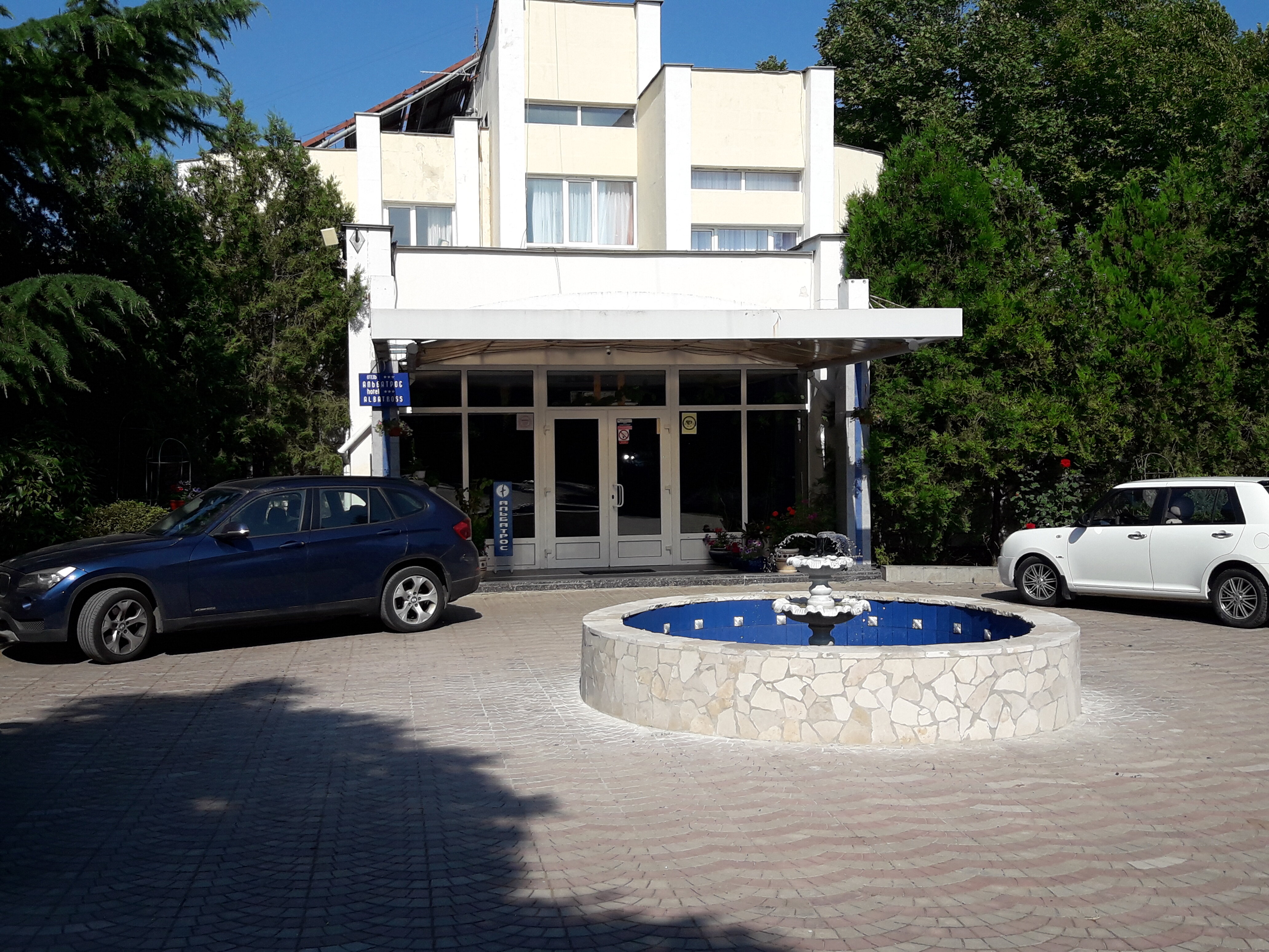 Фото Альбатрос